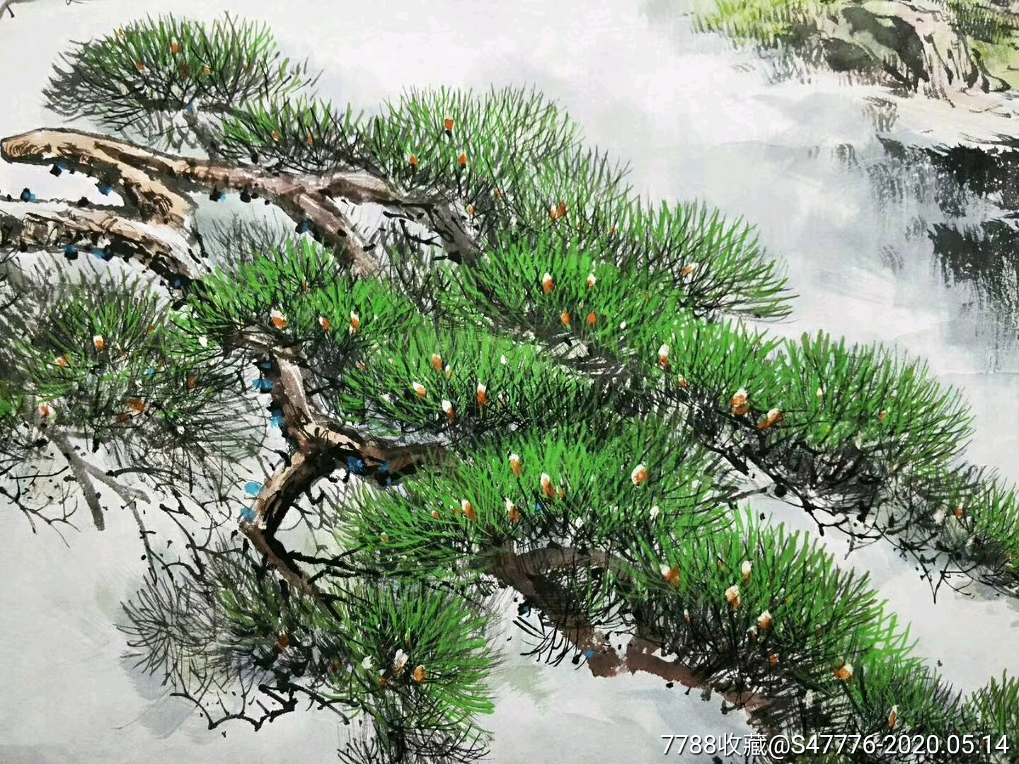 朝鲜水墨画《金刚山的青松》-山水国画原作-7788收藏