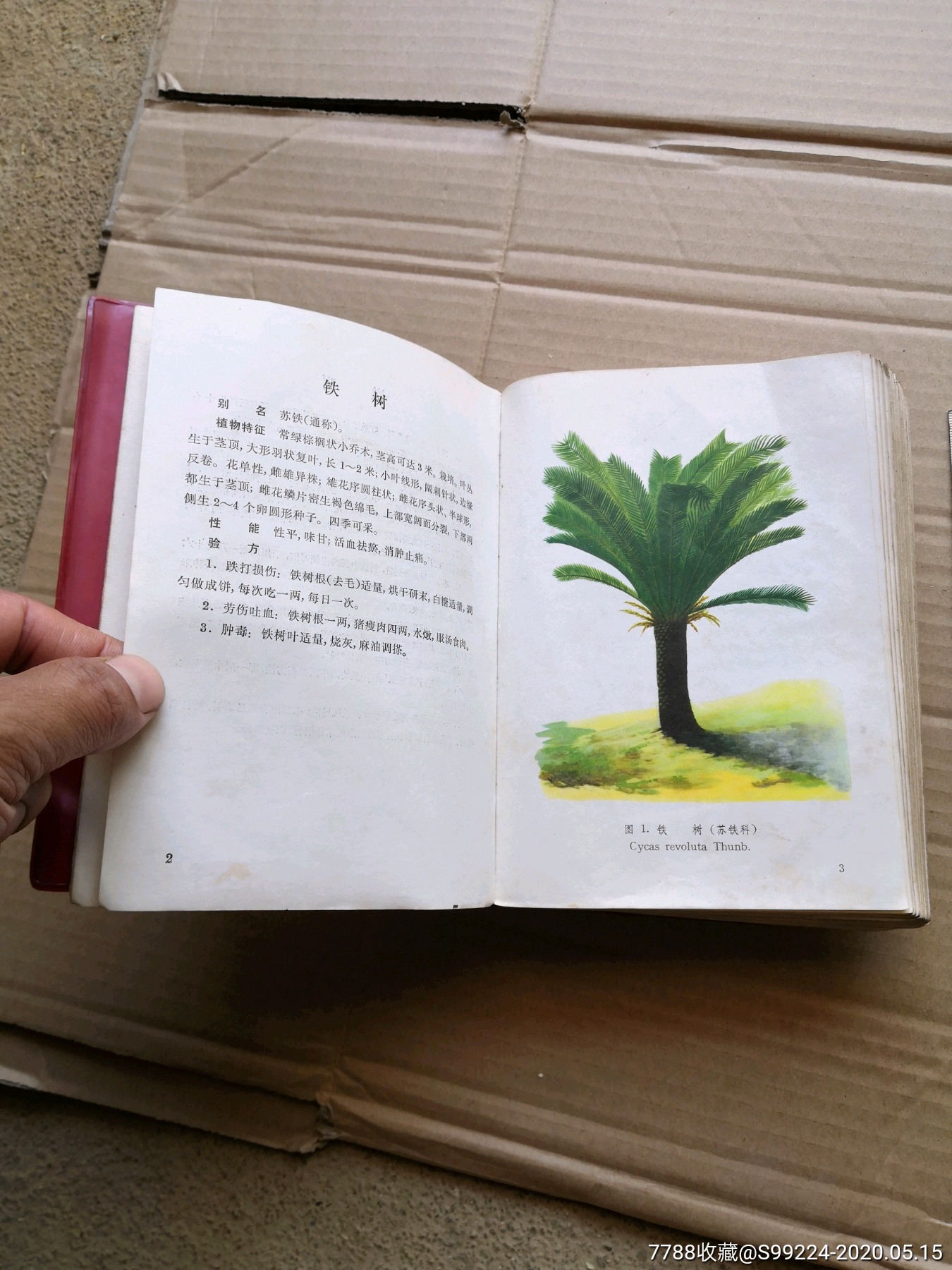 江西草药(32开 彩图本)