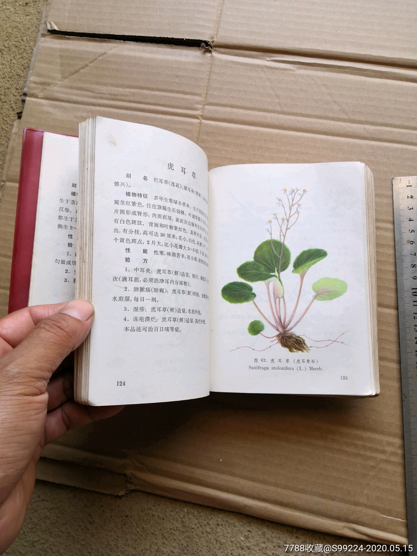 江西草药(32开 彩图本)