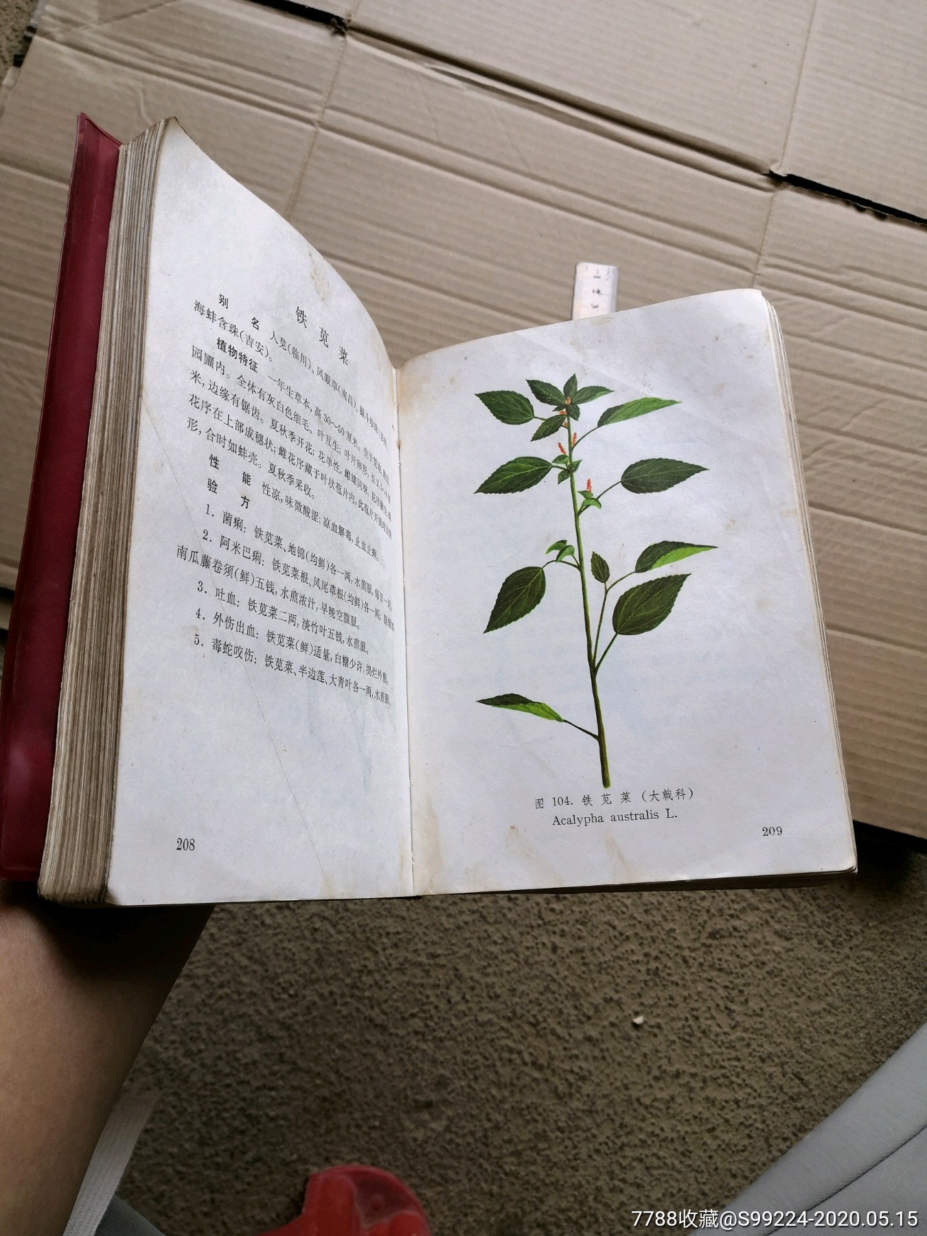 江西草药(32开 彩图本)