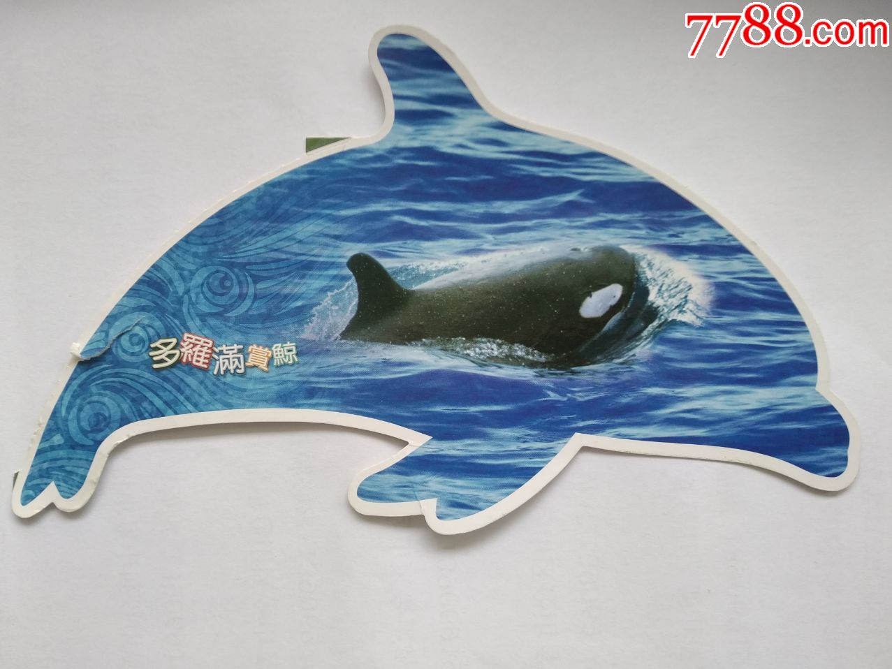 台湾异形门票【多罗满赏鲸】