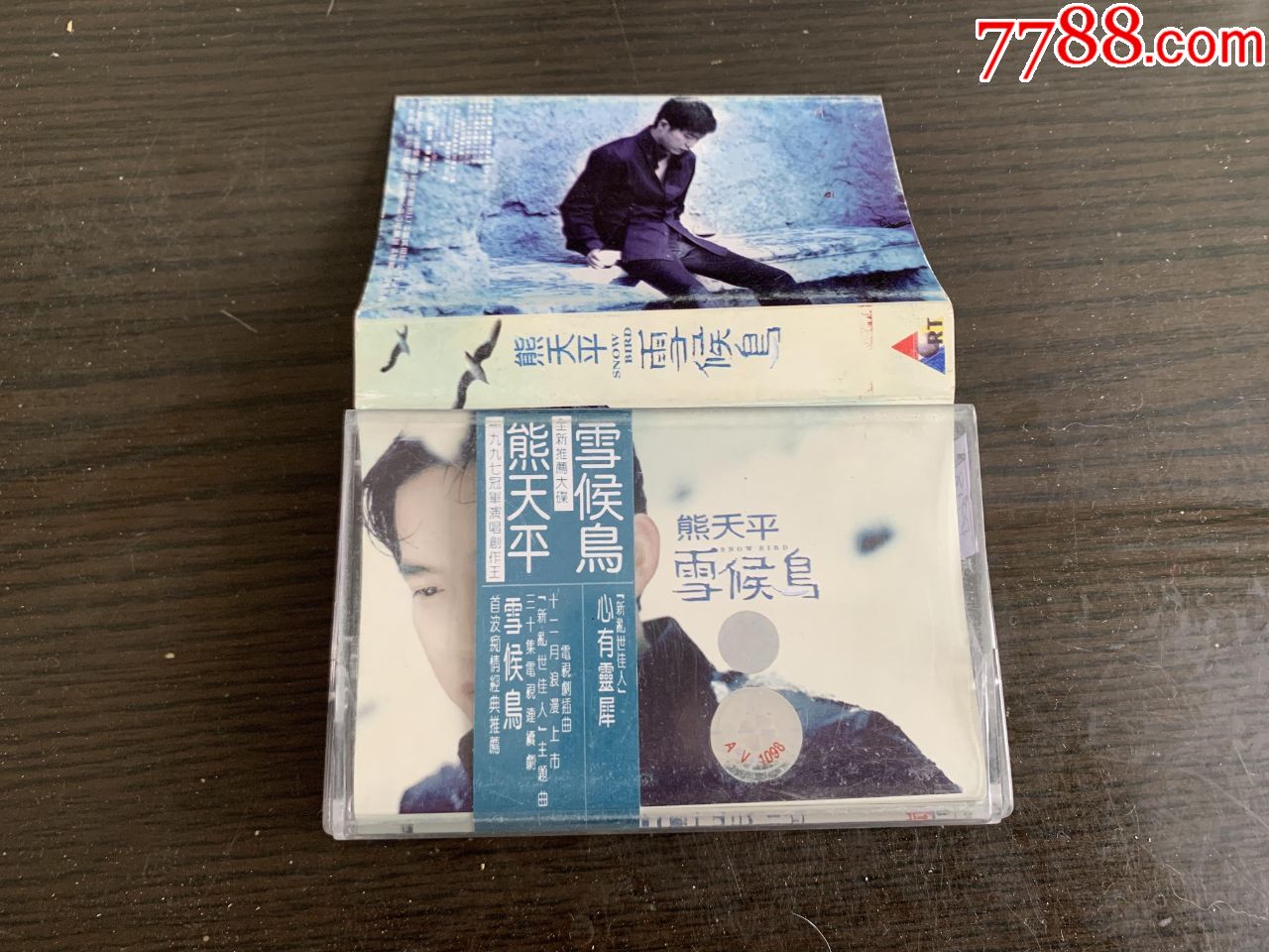 熊天平--雪候鸟