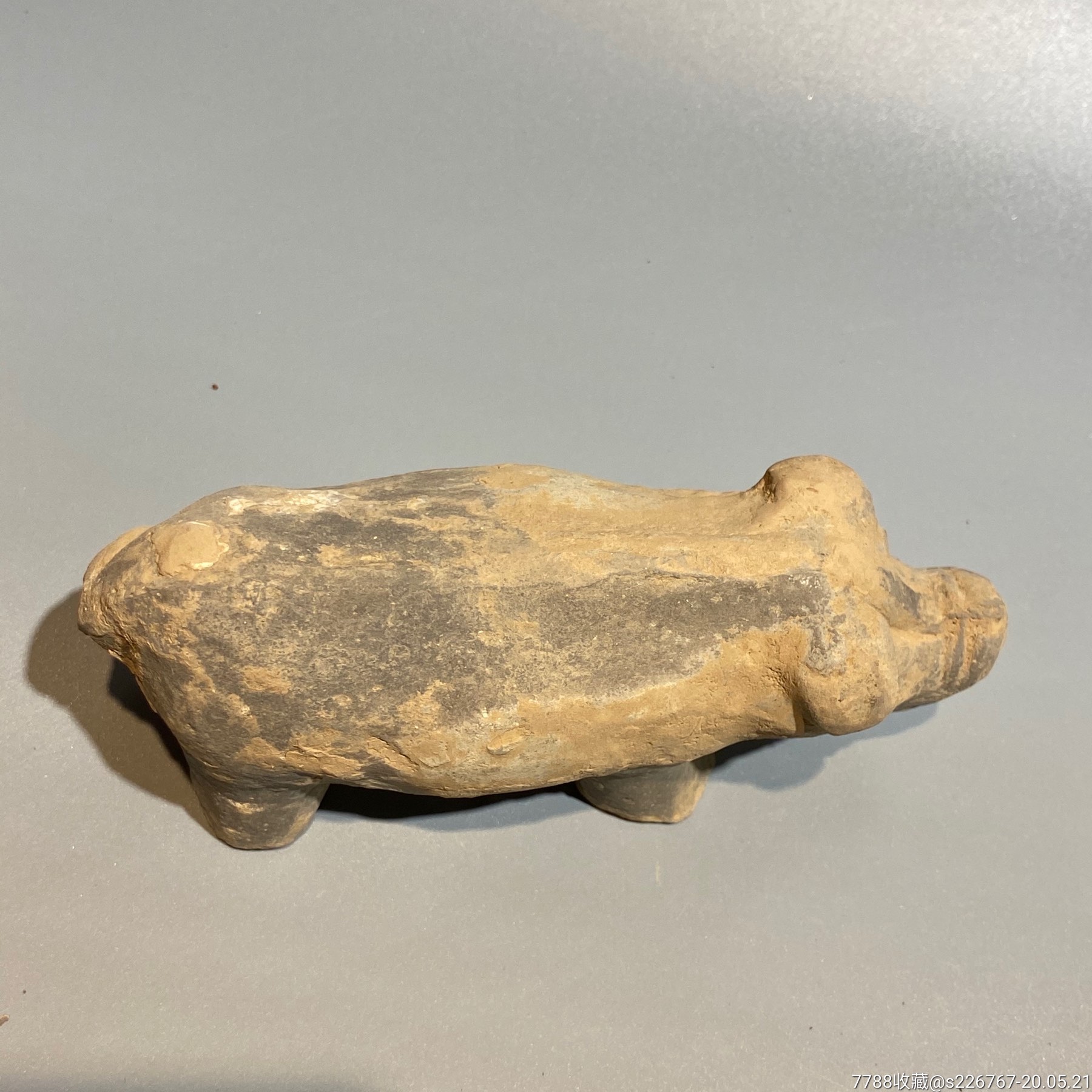 古玩陶器高古陶汉代陶猪