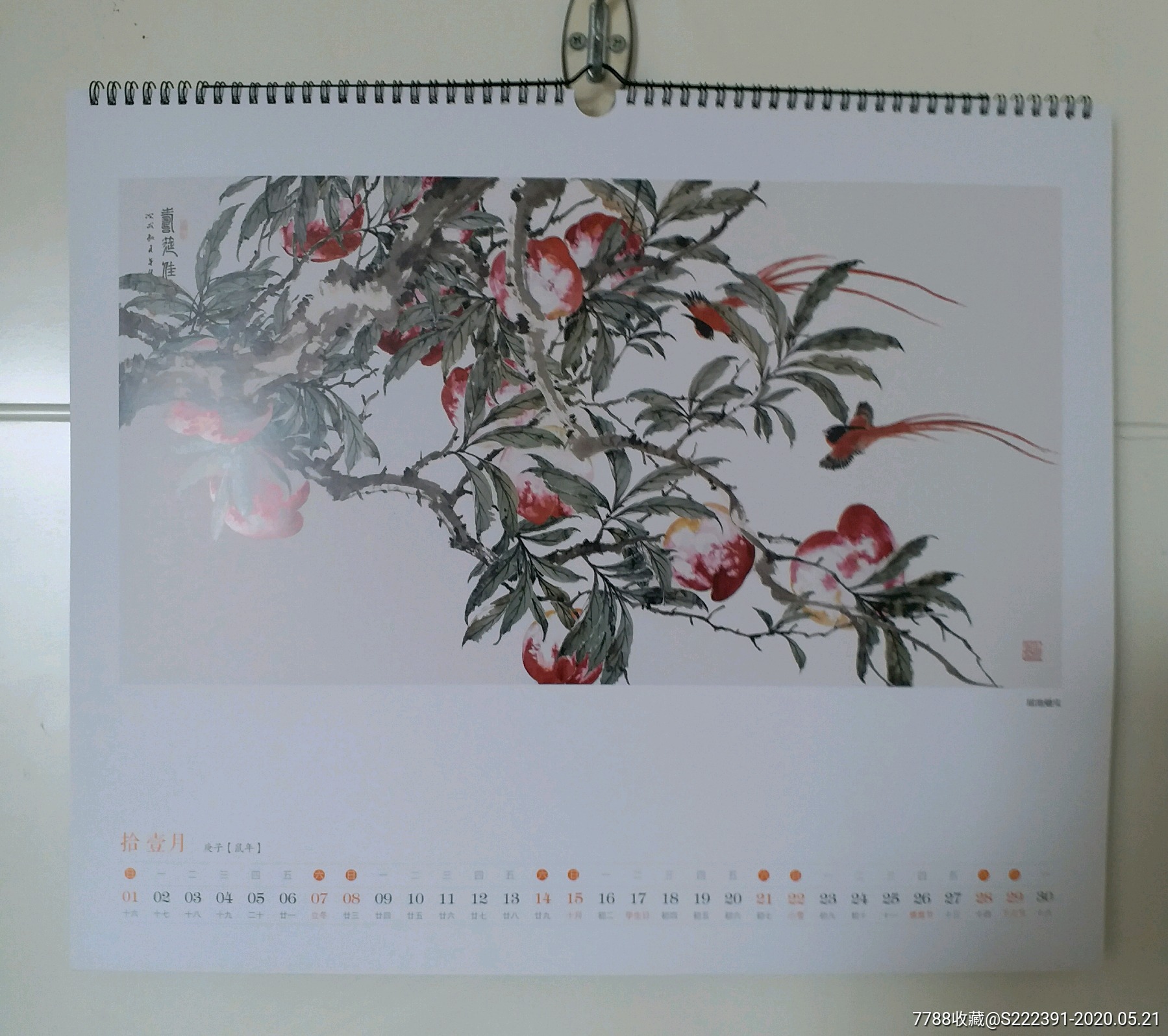 《周午生没骨花鸟作品》2开2020年书画挂历