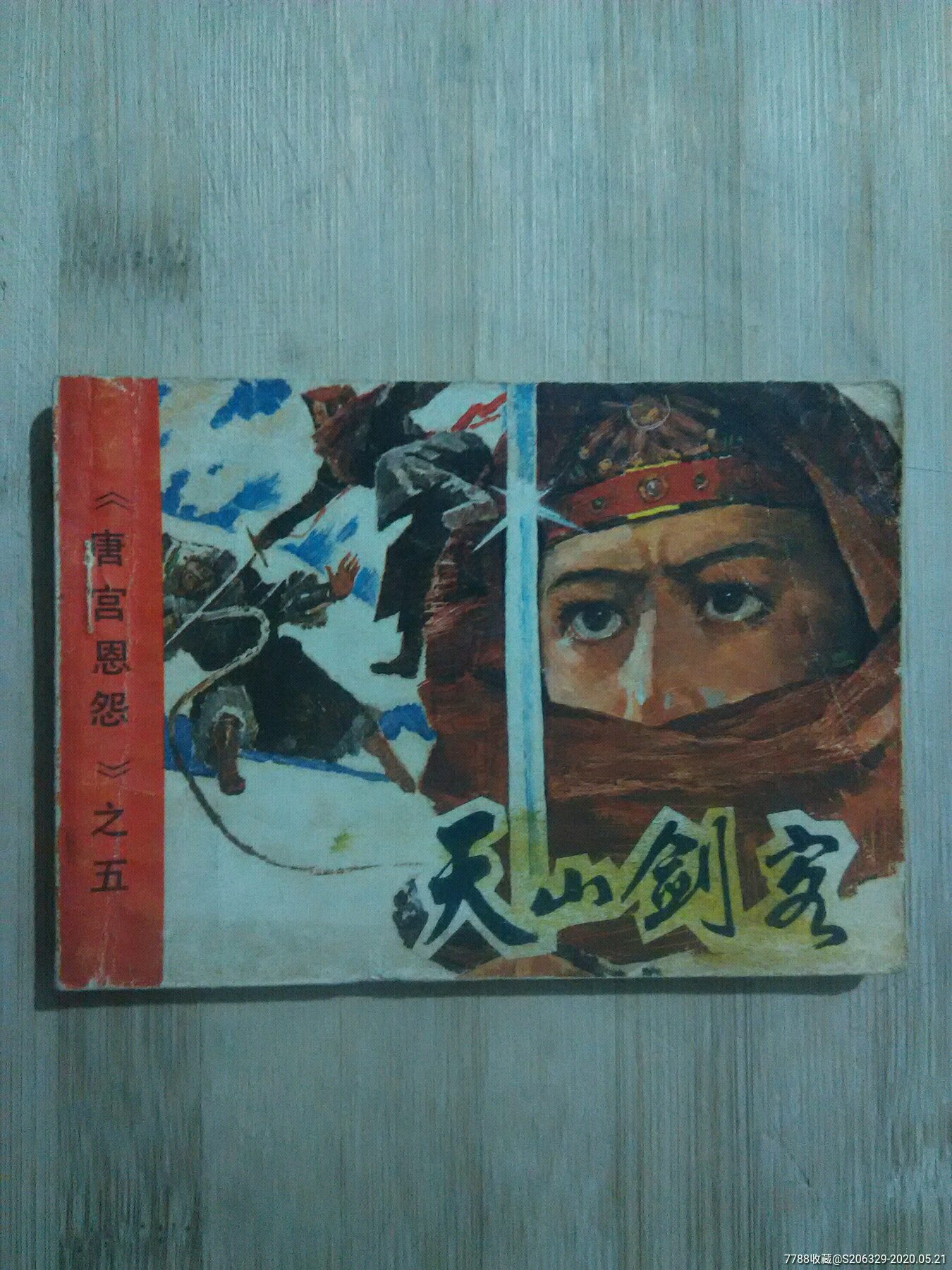 天山剑客(唐宫恩怨之五)