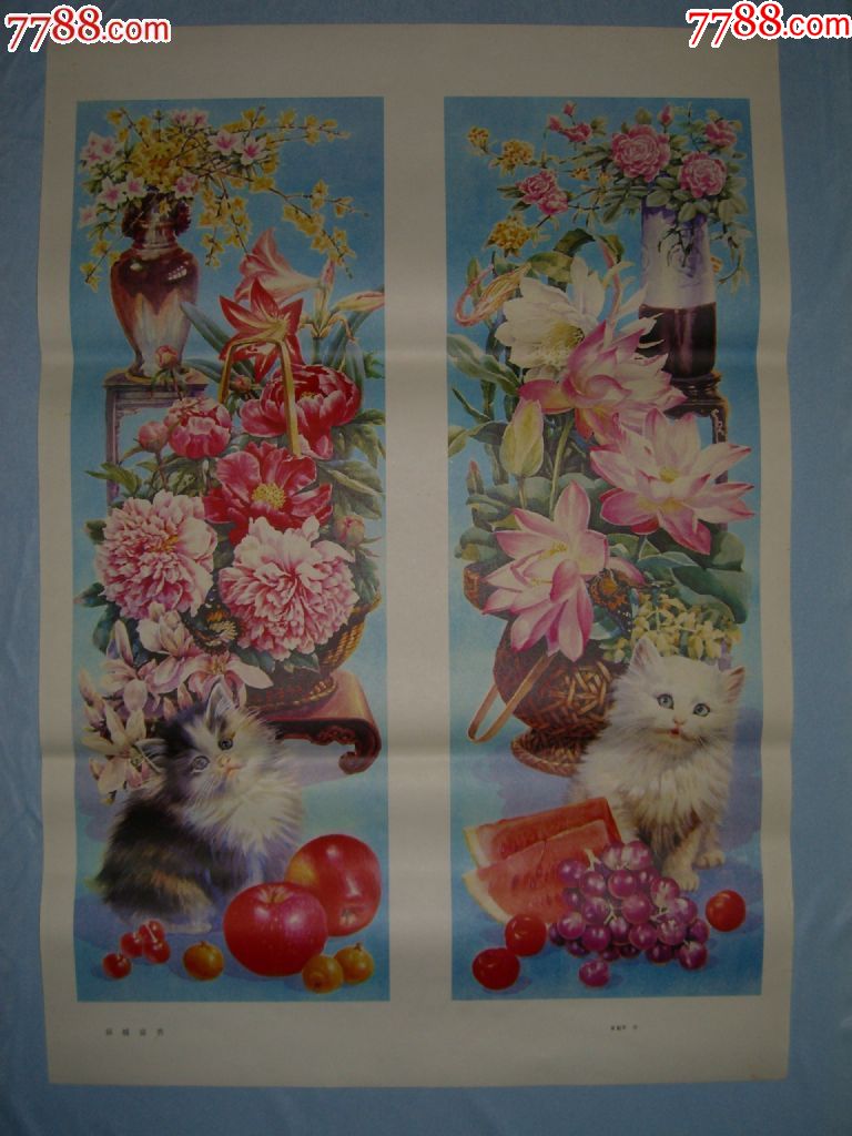 猫蝶富贵200523