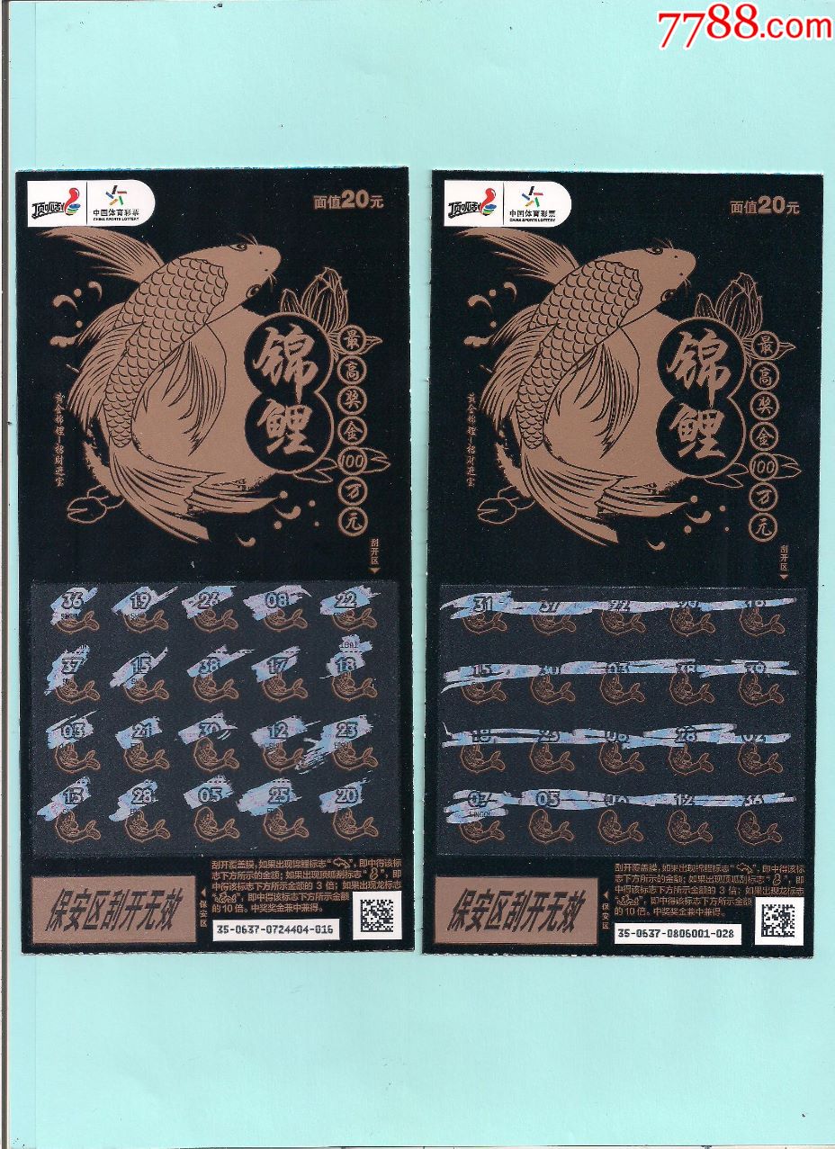 锦鲤,20元票2张为一件,120200637