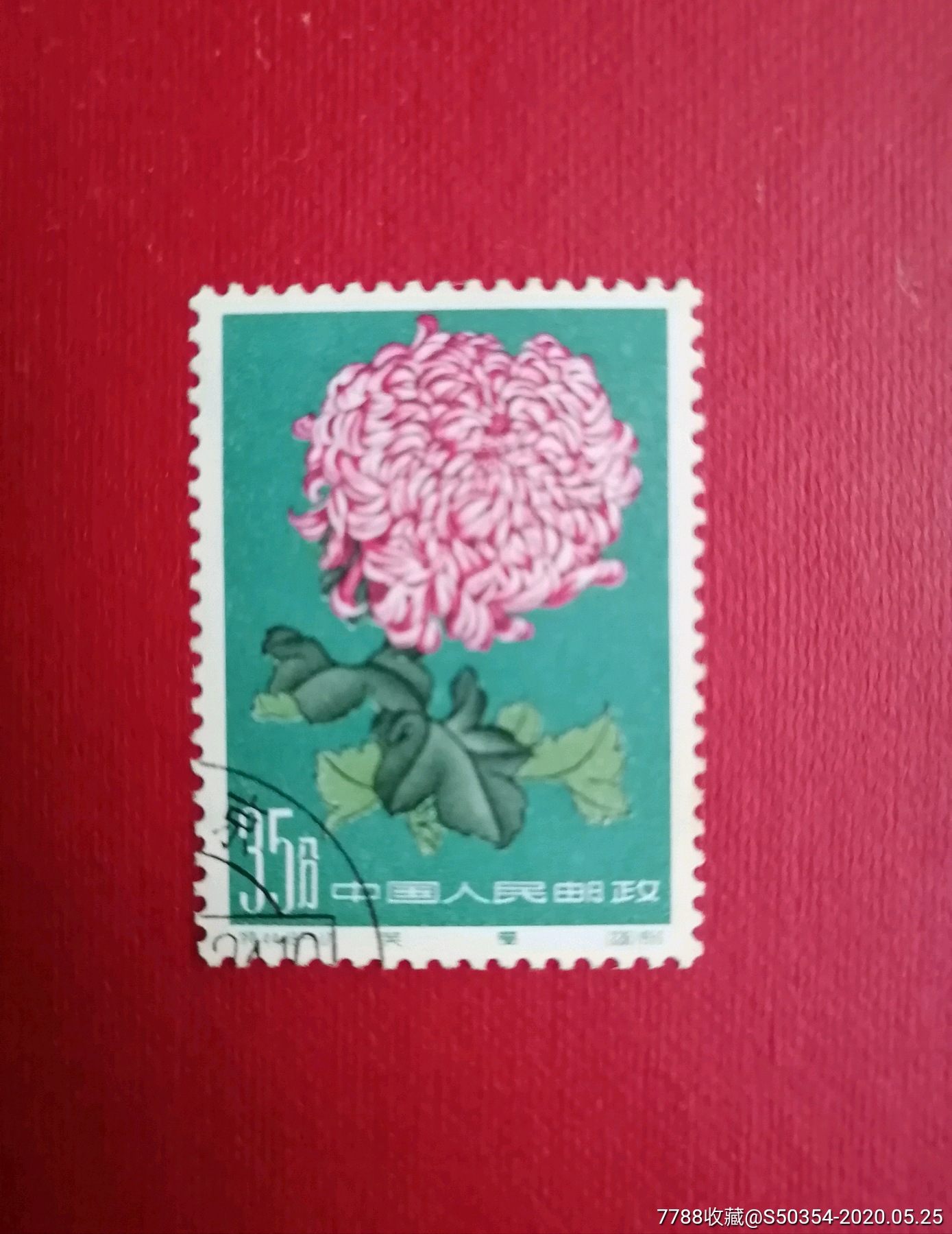 特44菊花-新中国邮票-7788收藏__收藏热线