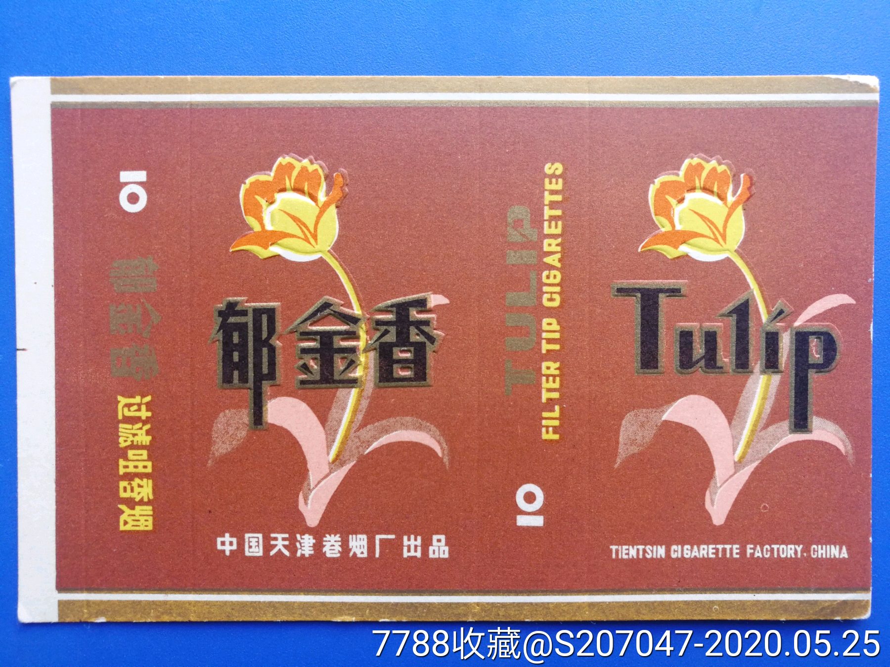 郁金香(卡标)早期品种