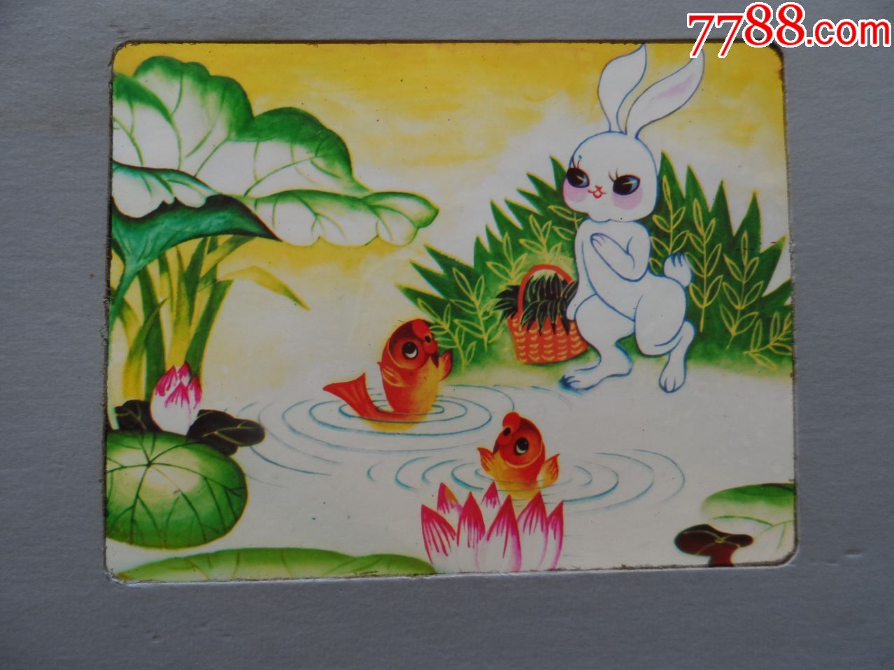 小兔子,荷花,莲花,金鱼【2020—05—22】