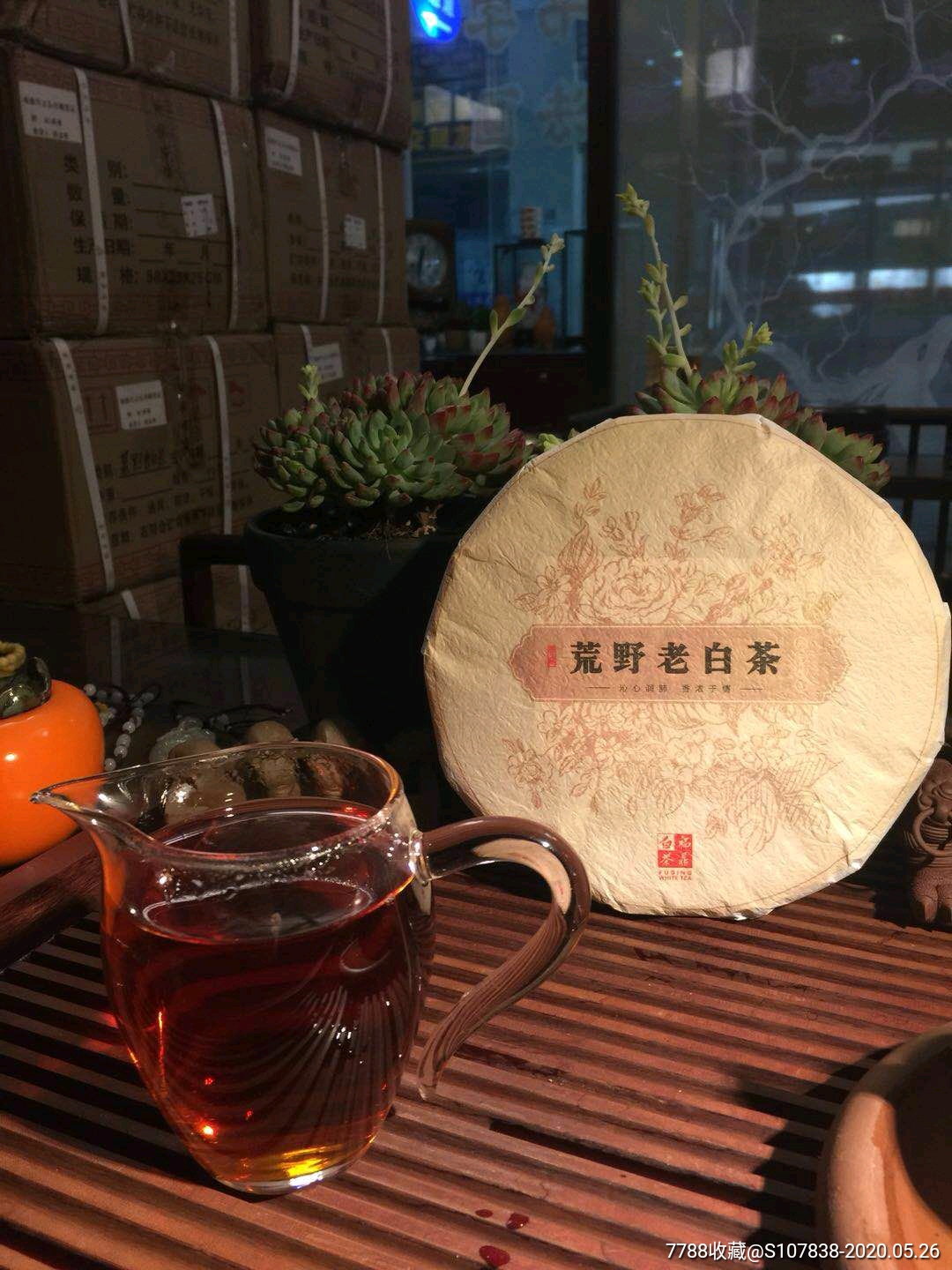 福鼎白茶2015年荒野老白茶