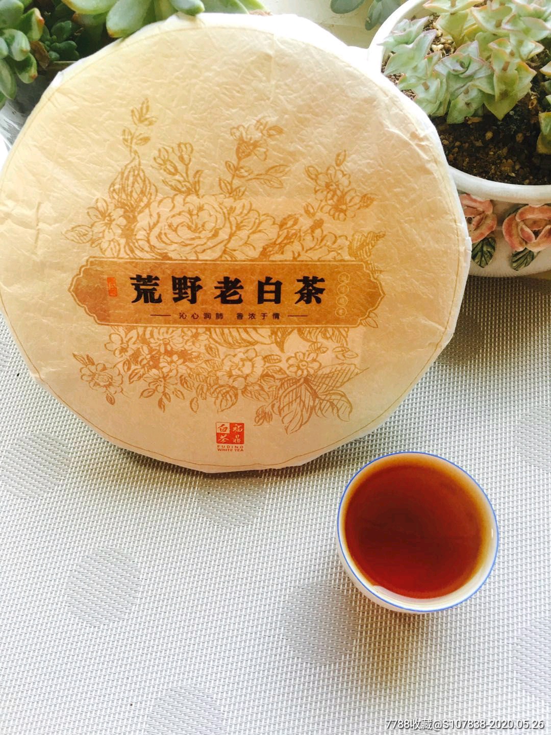 福鼎白茶2015年荒野老白茶