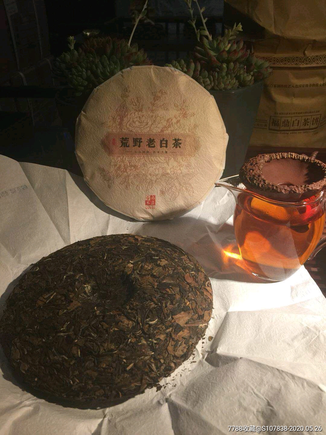 福鼎白茶2015年荒野老白茶