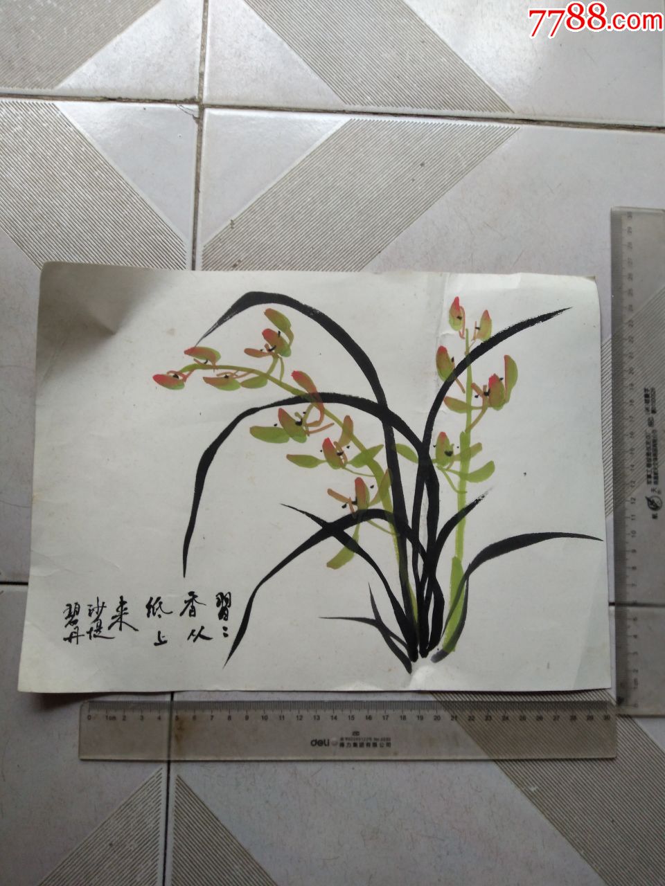 画稿,赵秋萍,兰花,34*25cm左右