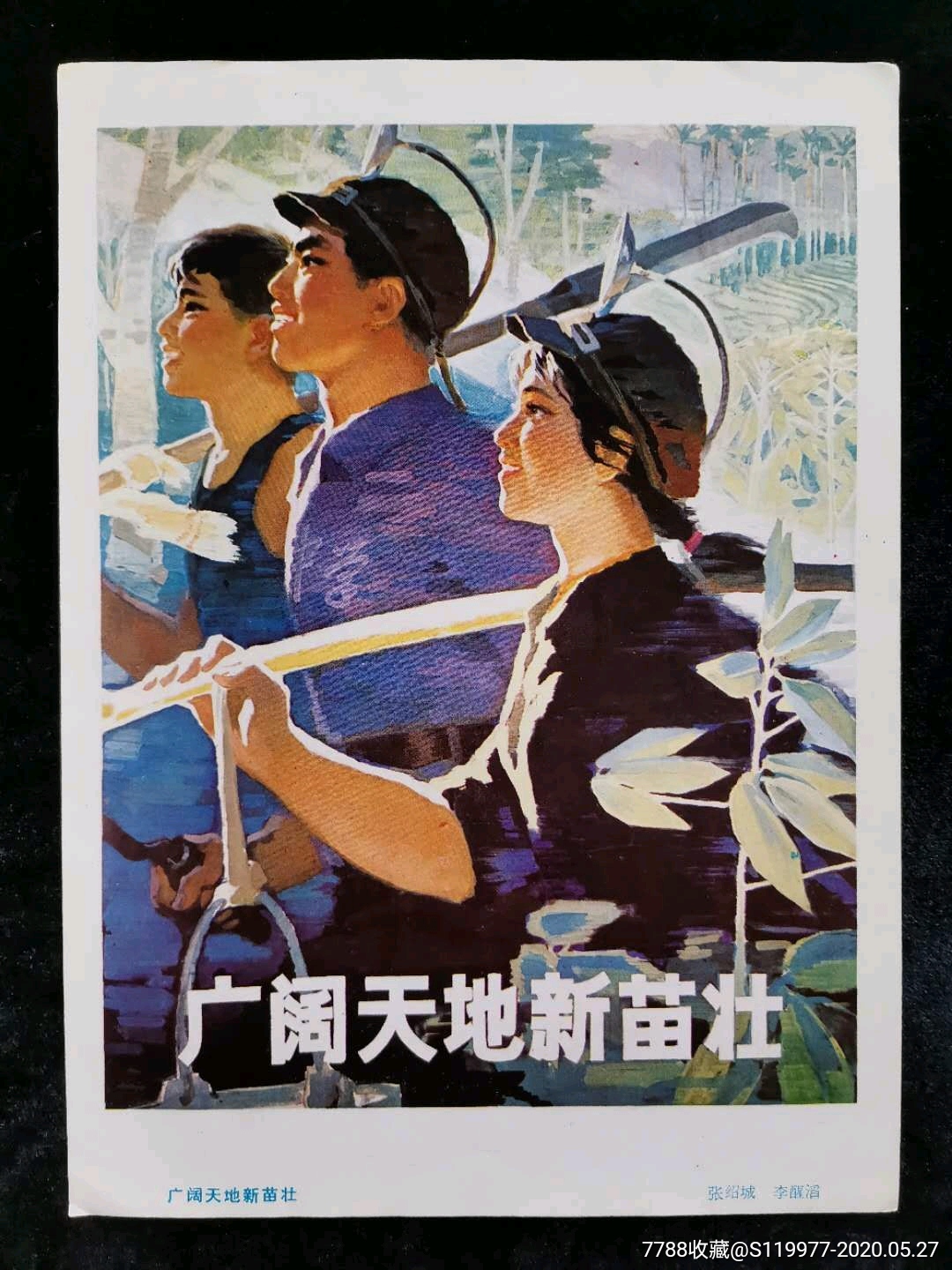 广阔天地新苗壮-价格:20元-se73308672-年画/宣传画-零售-7788收藏