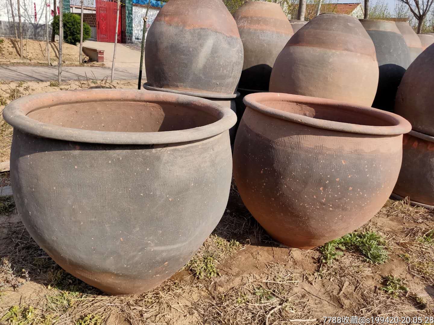 民国陶缸库存30个品相完整漂亮养鱼养花水质不坏装饰小院古建院佳品