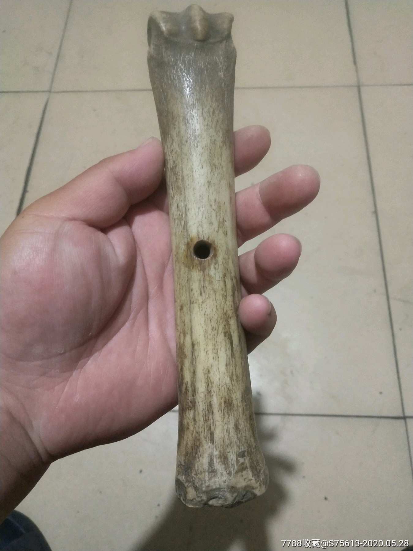 精品老骨头一根