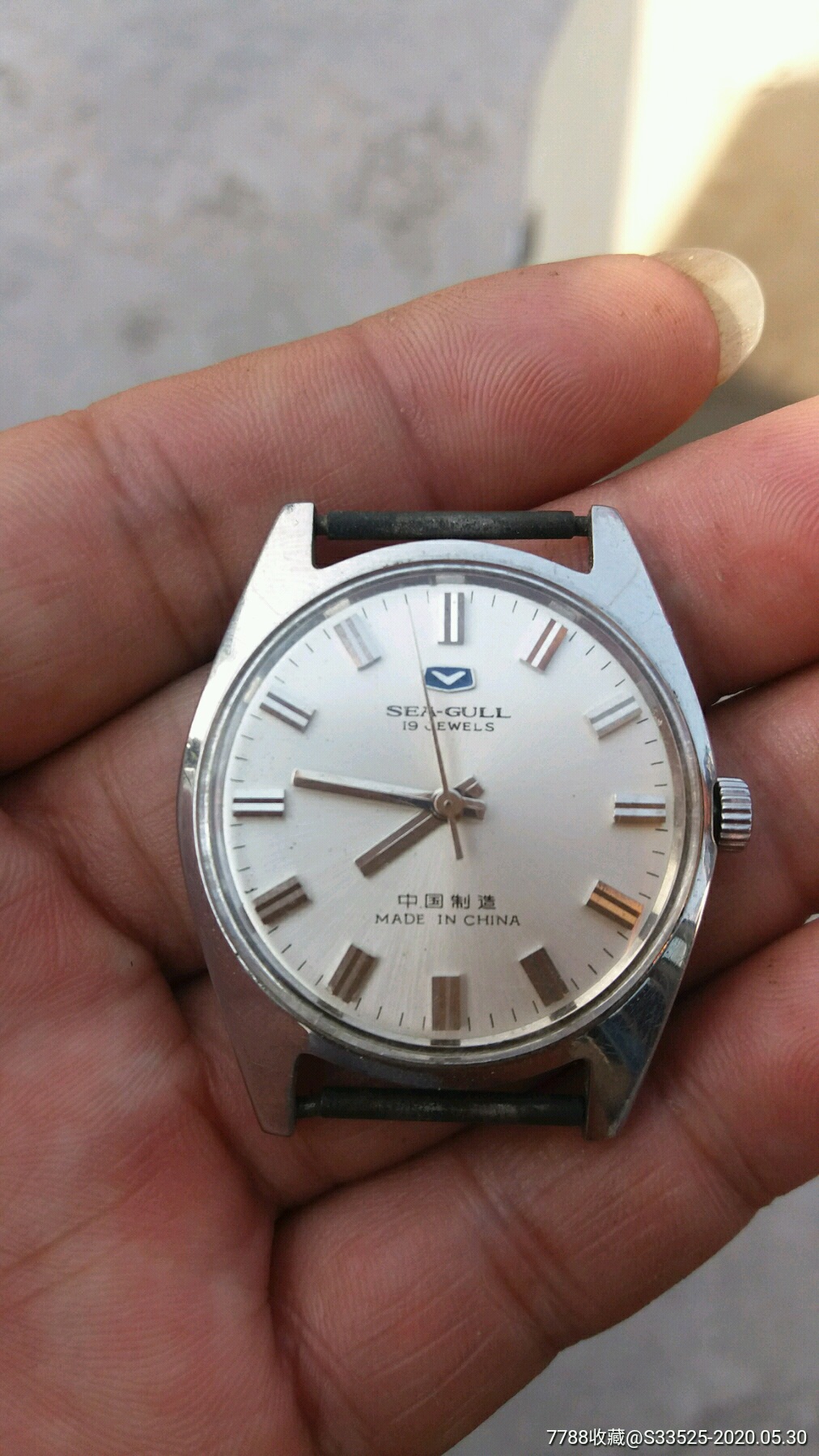 国表海鸥19钻-手表/腕表-7788收藏