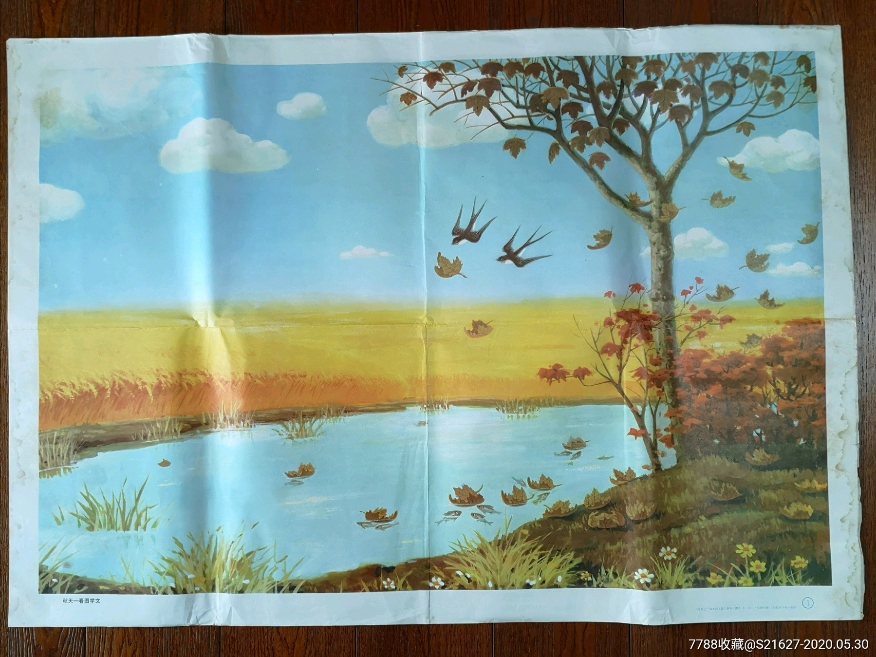 教学挂图秋天看图学文