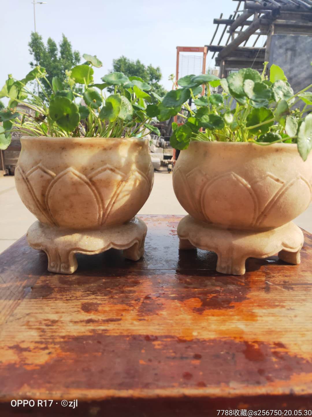 莲花石盆可养花包浆浑厚特价出-价格:1000元-se73378509-石盆/石槽