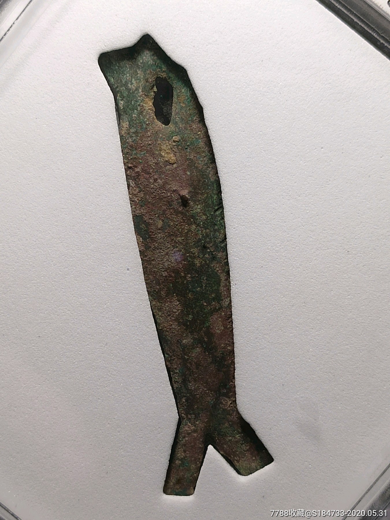 先秦大型鱼币华夏78分评级币(849)