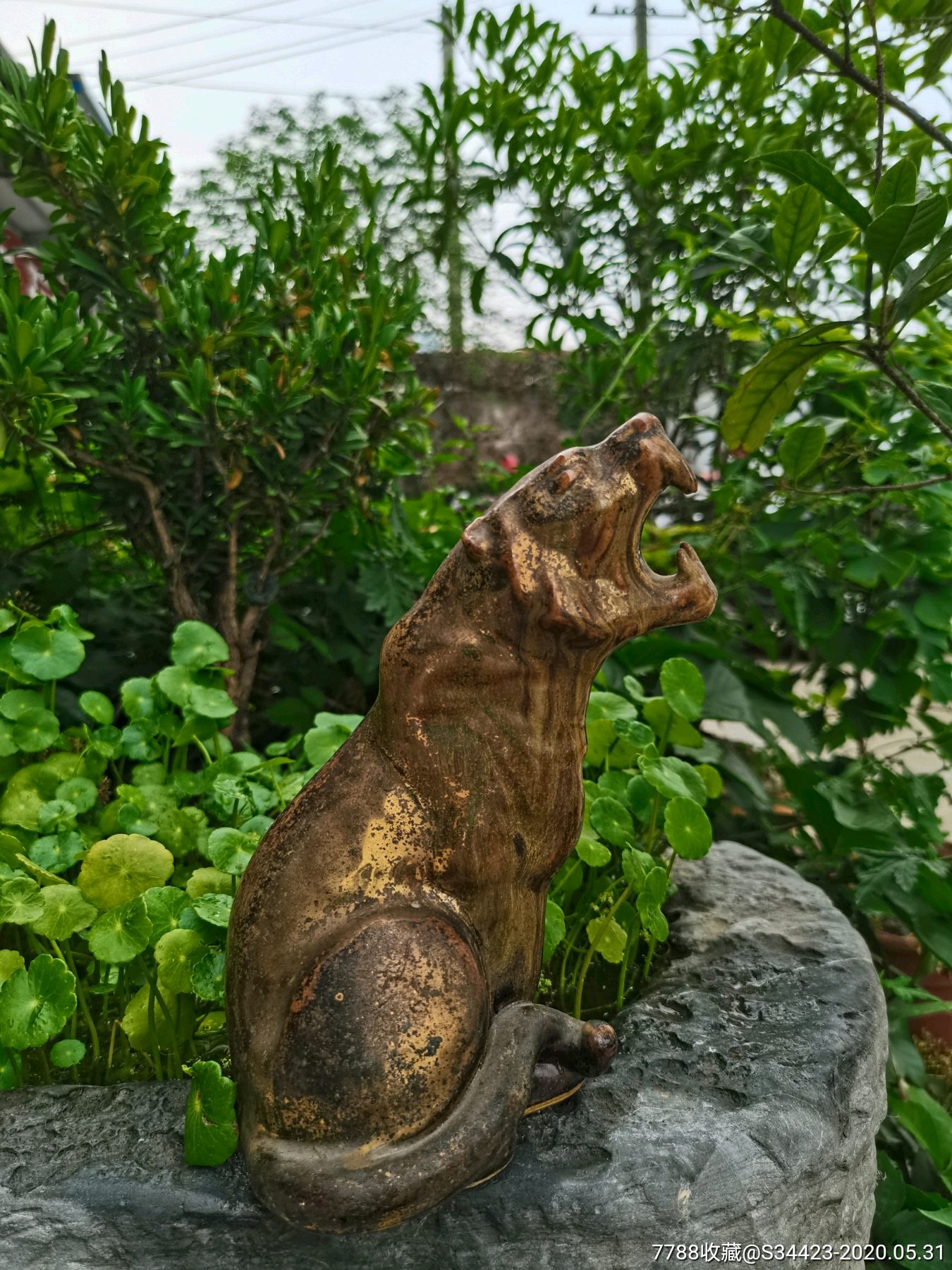 一啸震山川(威猛蹲虎)