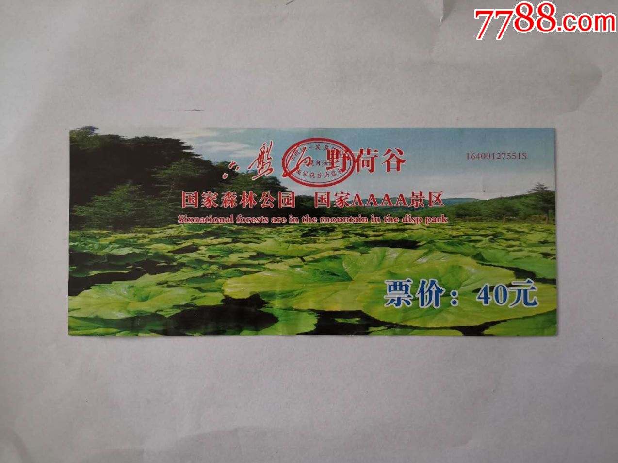 六盘山野荷谷-旅游景点门票-7788收藏