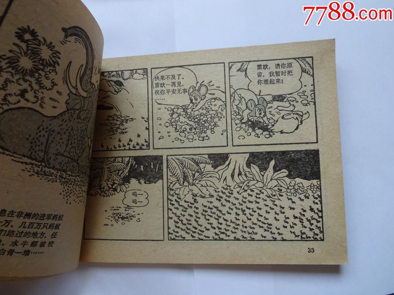 森林大帝(1--6全)-连环画/小人书-7788旧货商城