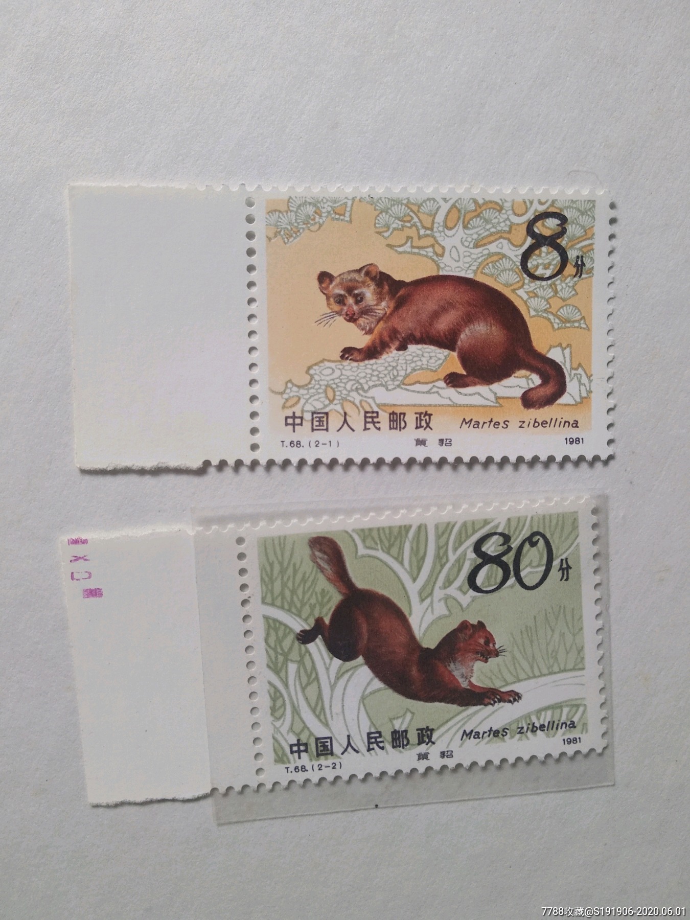 81年〔紫貂〕t68带边套票_新中国邮票_收藏行情_回收价格_7788邮票