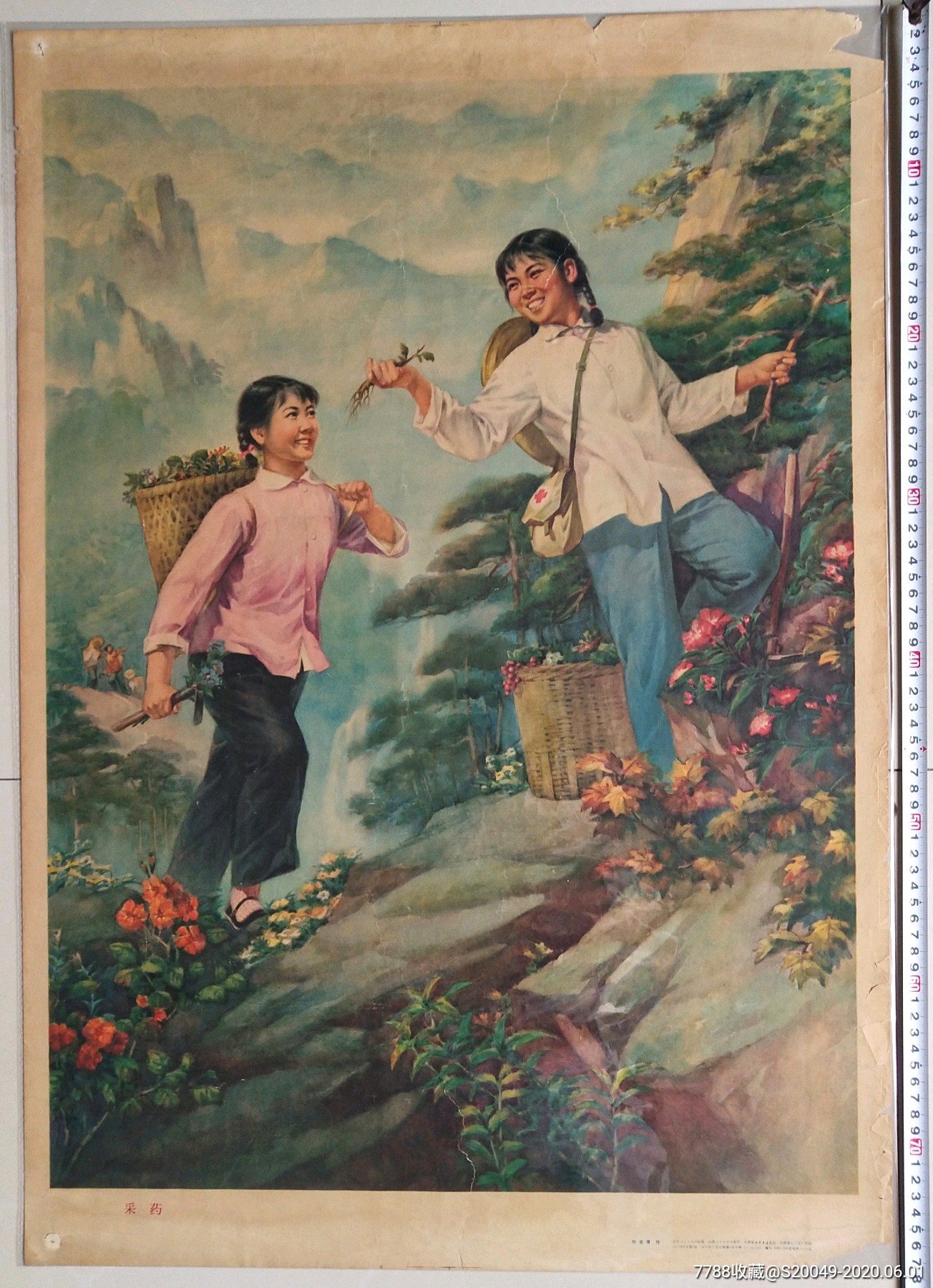 大文革"赤脚医生采药"宣传画!