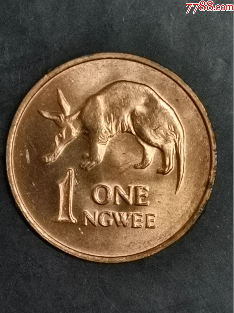 赞比亚1983年1恩韦-外国钱币-7788收藏__收藏热线