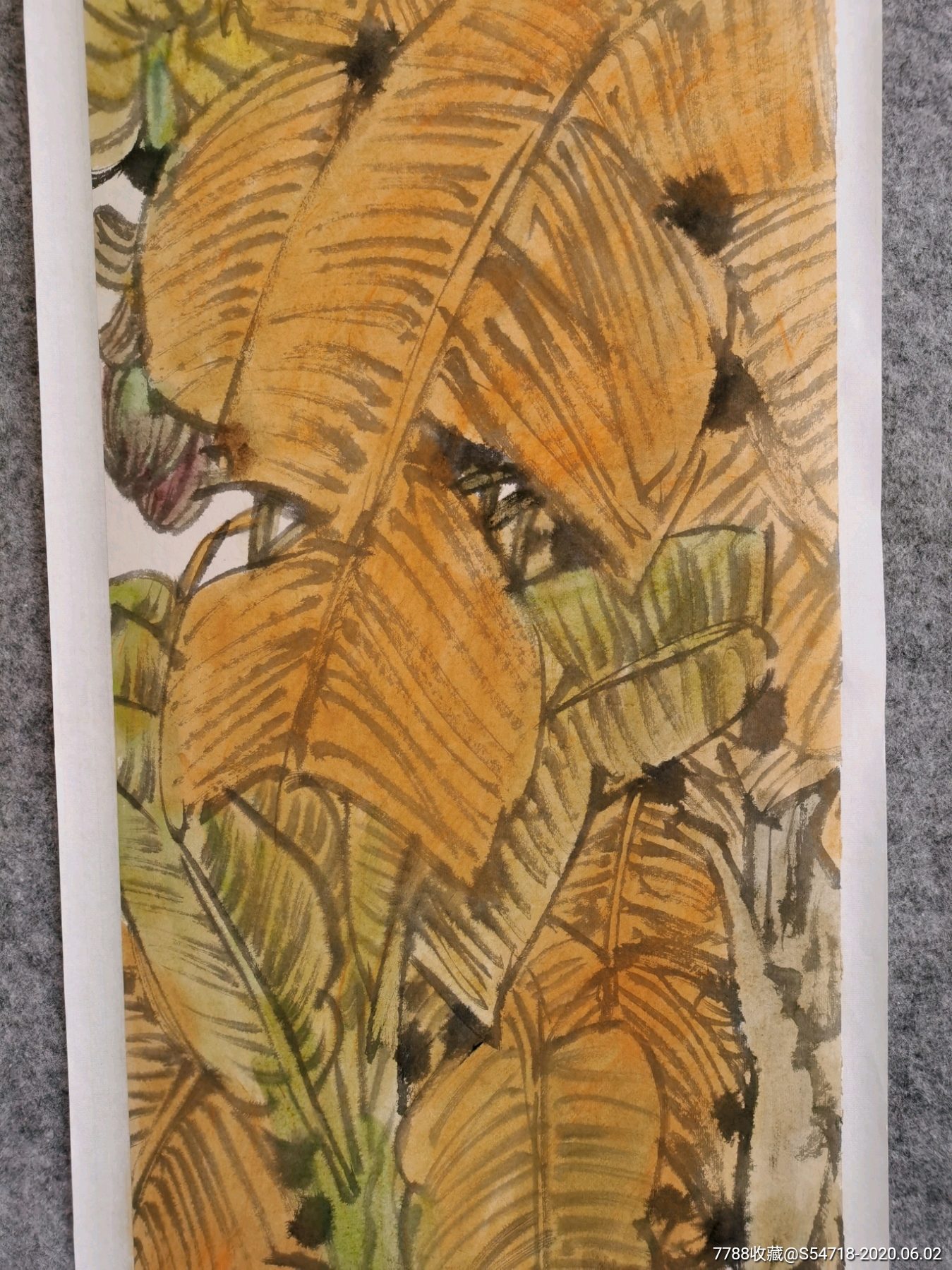 中美协理事张建豹老师芭蕉鹦鹉