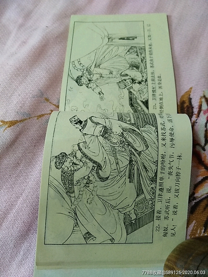 蘇武牧羊(江蘇版古代人物傳奇故事)_連環畫/小人書【美的世界】_第8張