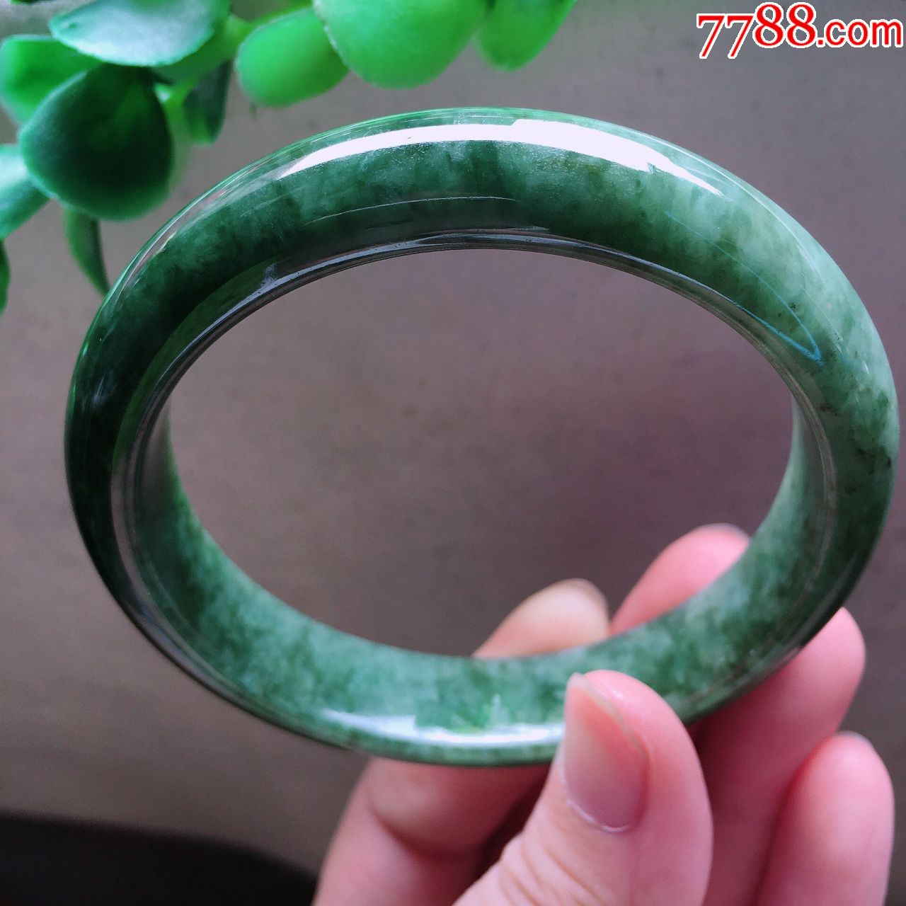 天然翡翠a货老坑正圈玉手镯油青种满色水润玉镯子