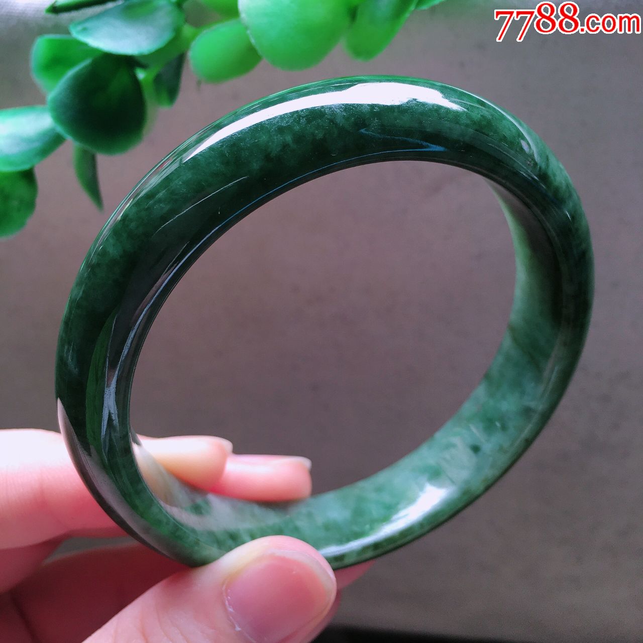天然翡翠a货老坑正圈玉手镯油青种满色水润玉镯子