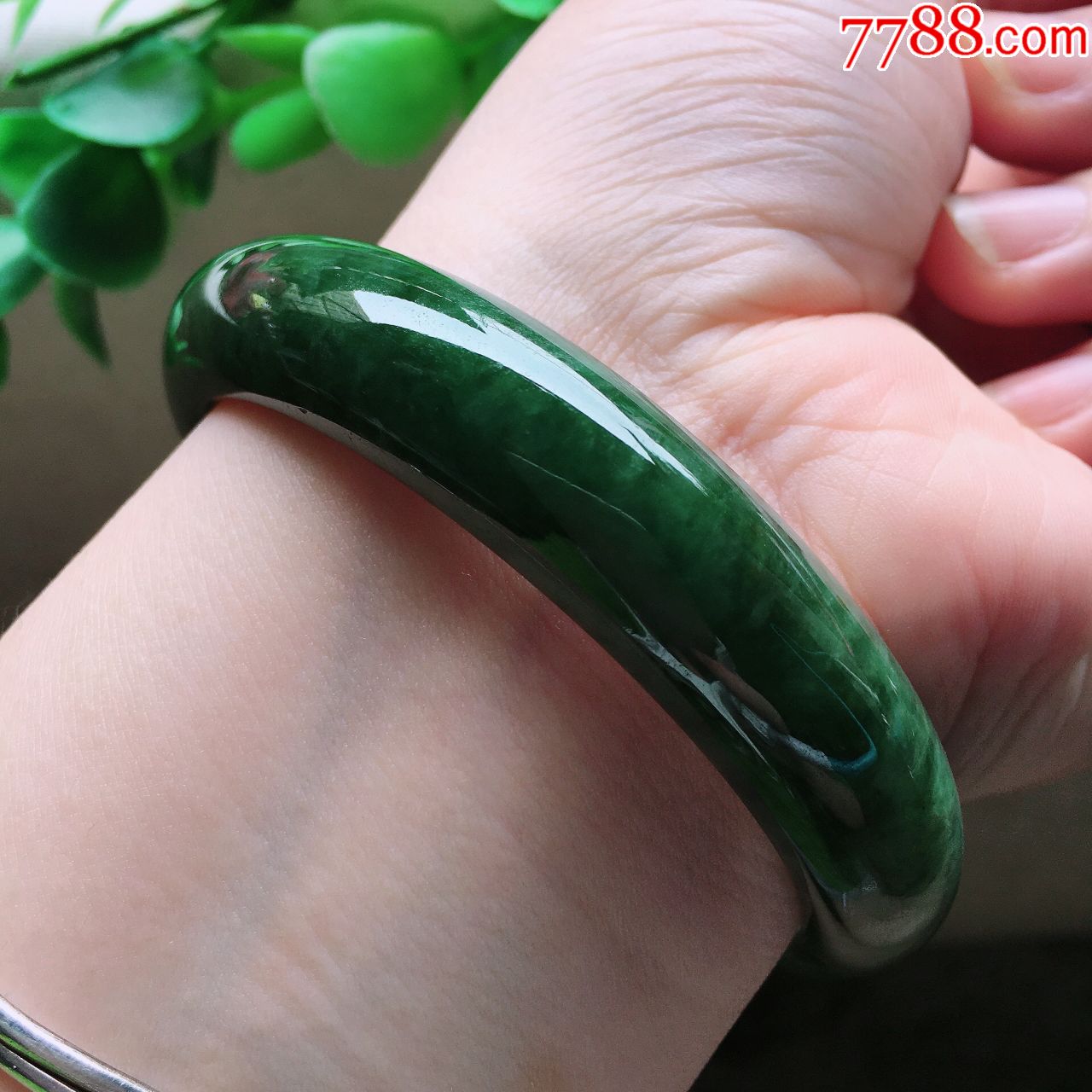 天然翡翠a货老坑正圈玉手镯油青种满色水润玉镯子