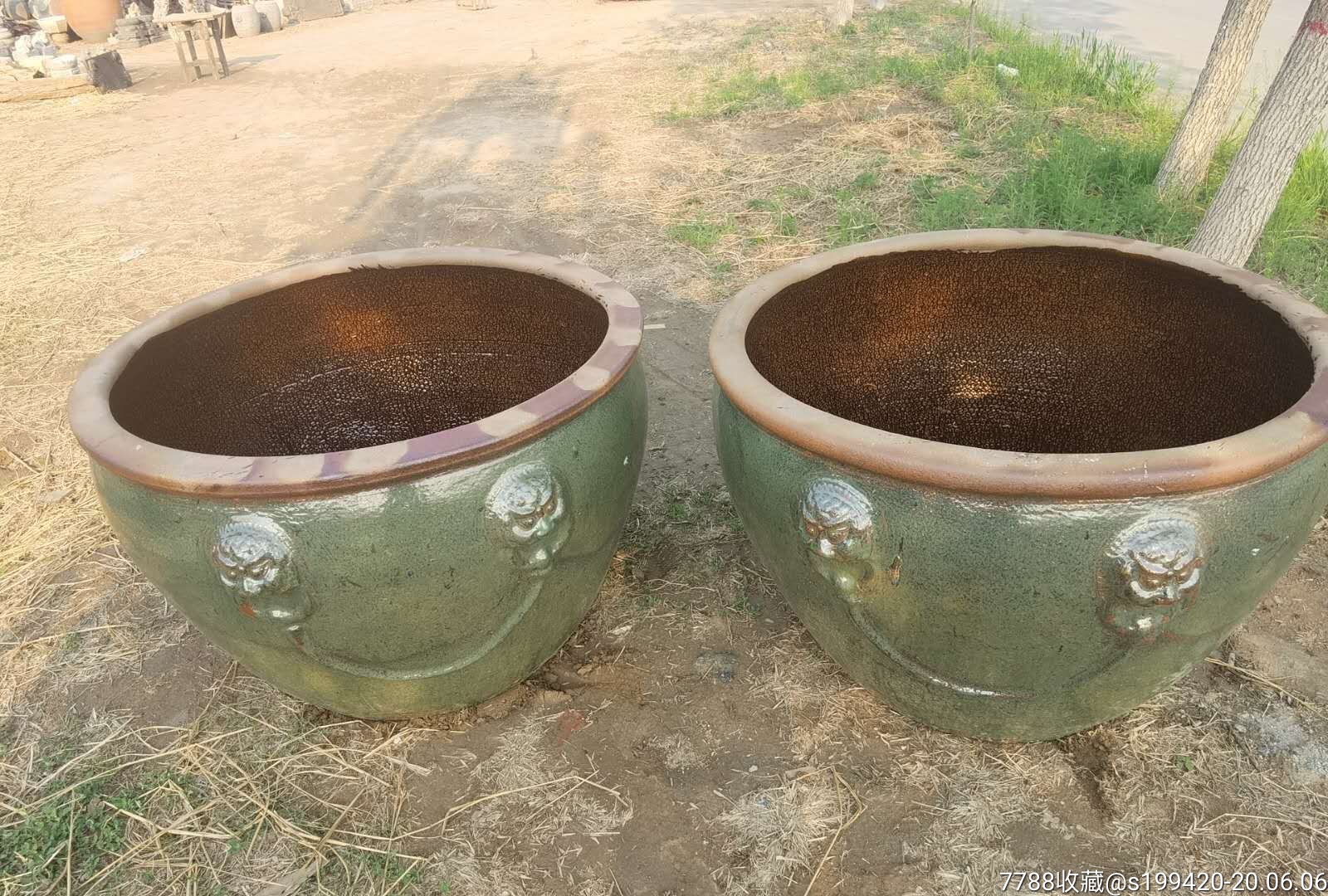 民国时期狮子头特大号大缸一对.全品包老,尺寸直径120高80.