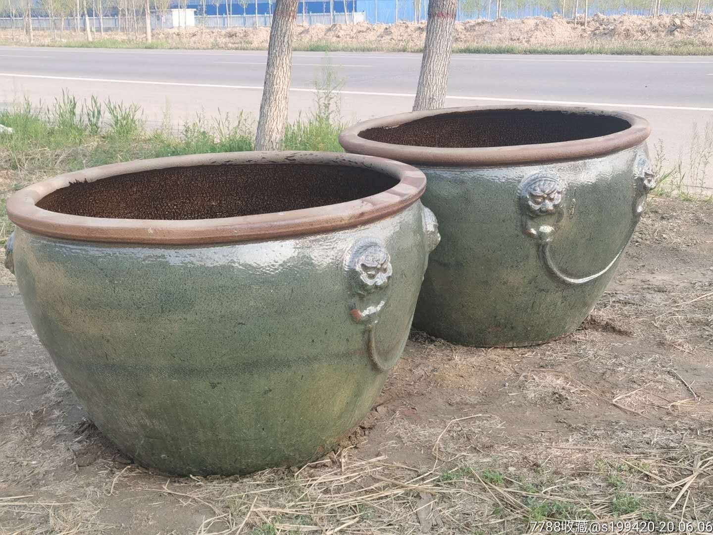 民国时期狮子头特大号大缸一对.全品包老,尺寸直径120高80.