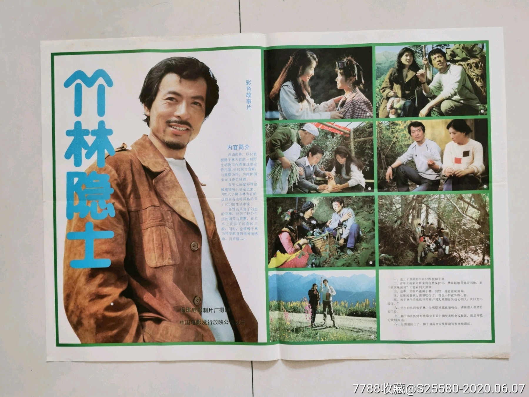 何麟主演_《竹林隐士》-价格:25元-se73530688-电影海报-零售-7788