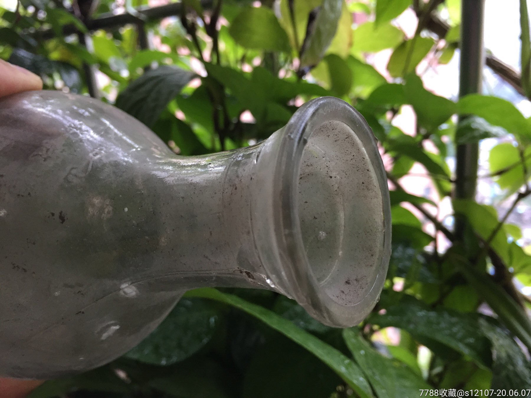 广东中山小榄镇荼薇酒大肚樽瓶普通装