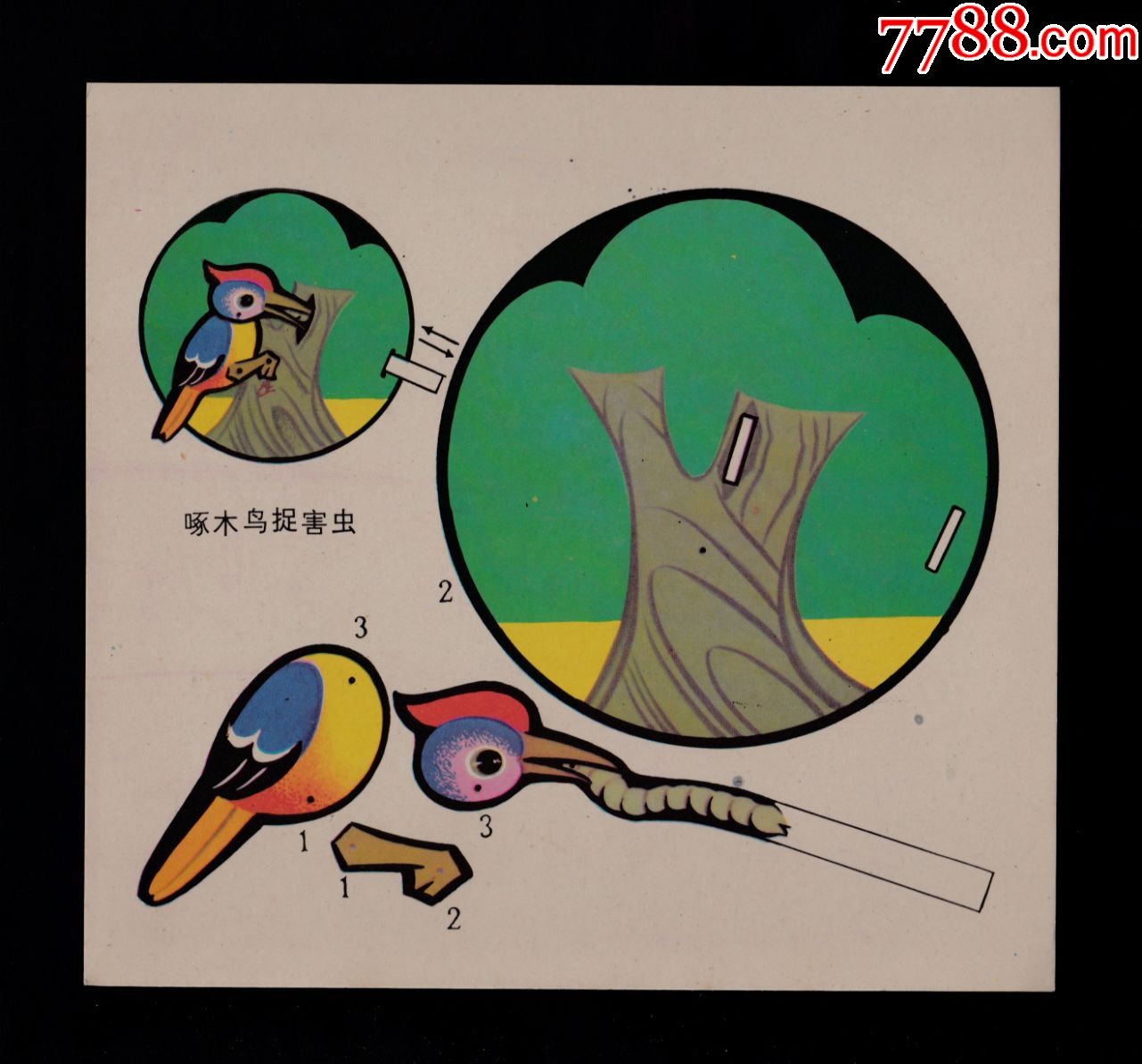 啄木鸟捉害虫玩具画片