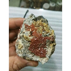 大清花園礦區(qū)組合_瑞楓貨廊