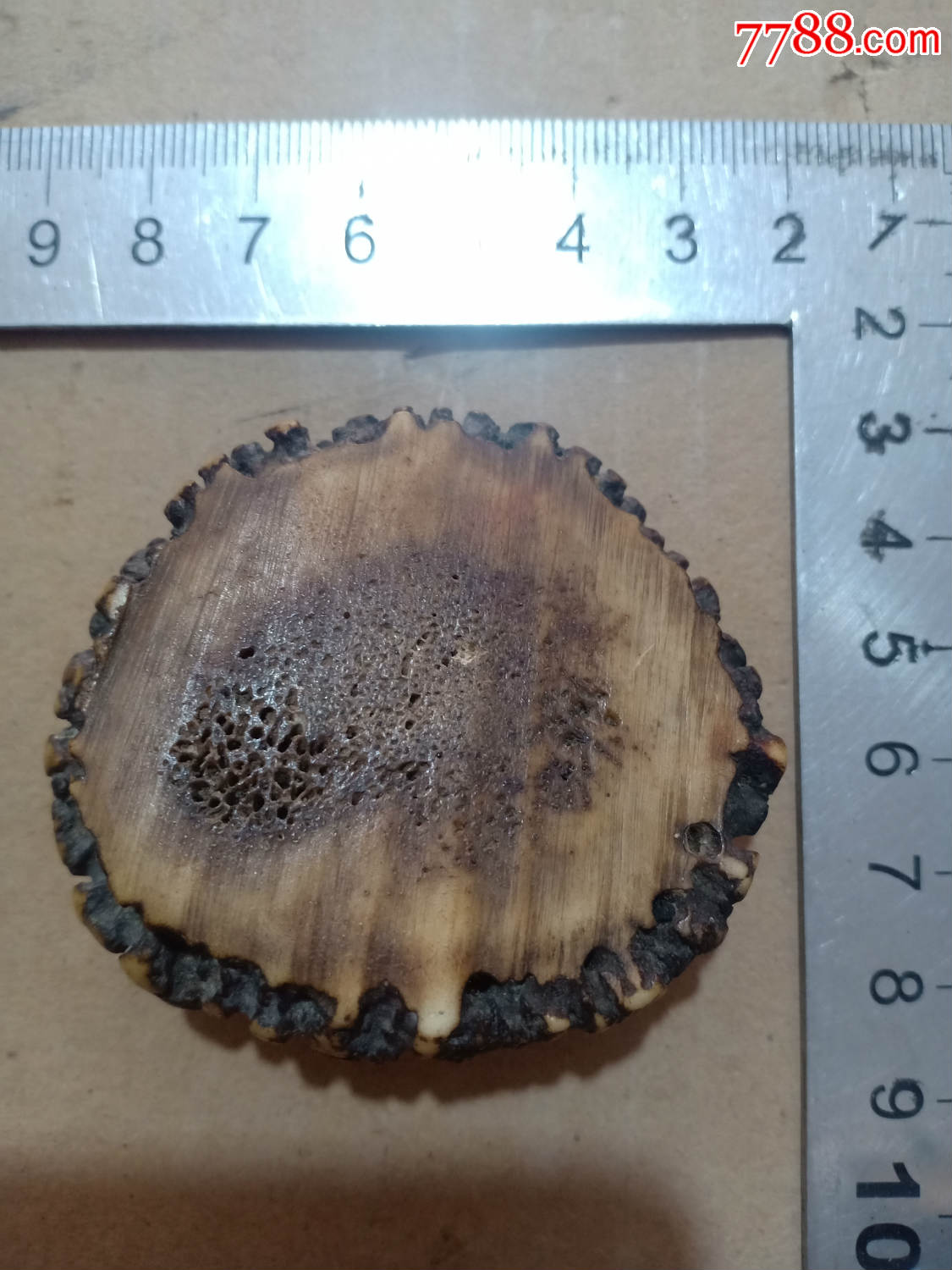 (箱24)清代鹿角盘,挂件,包浆非常好,老辈打孔佩挂辟邪去病,尺寸6*5*2c