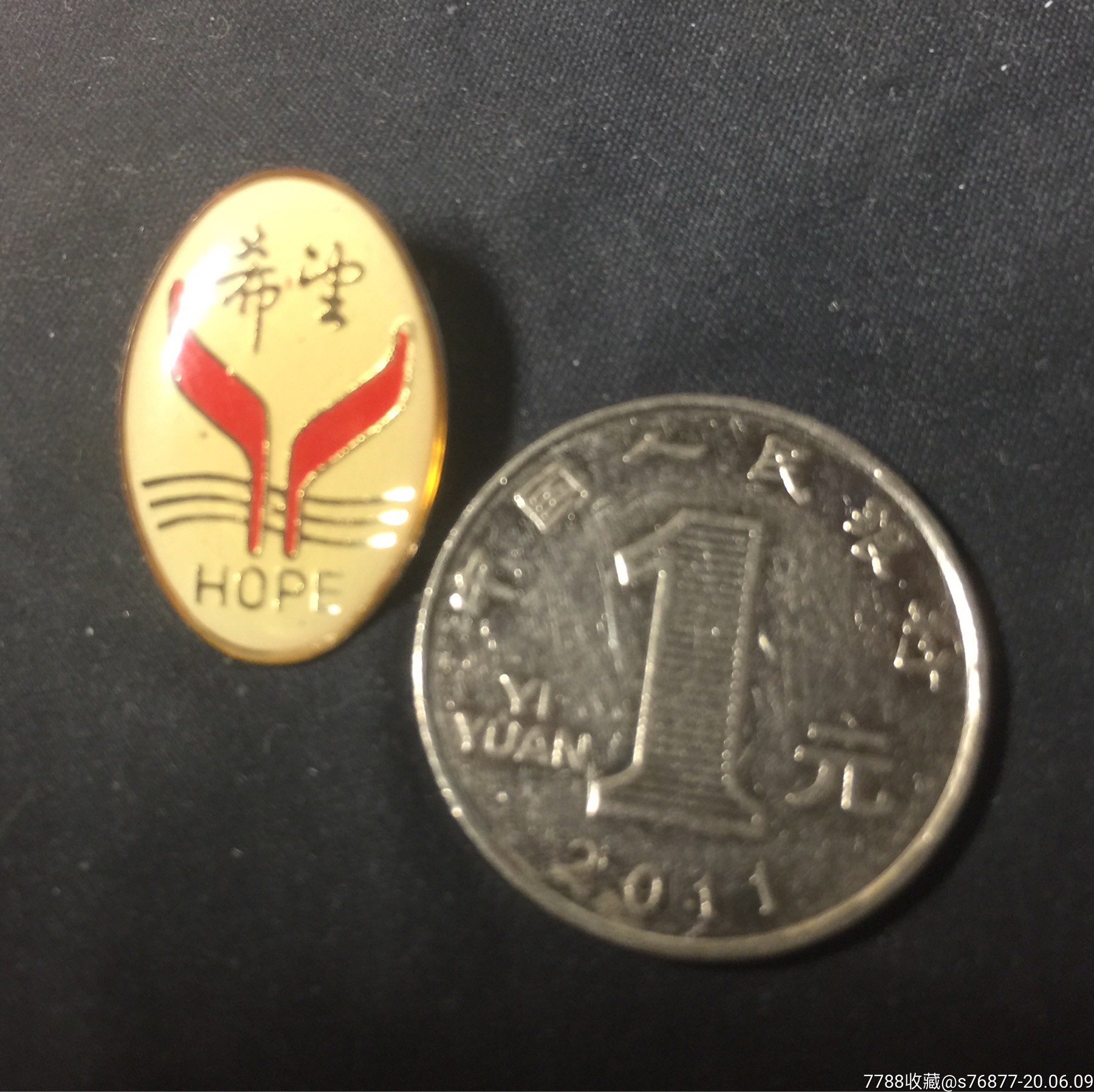 希望工程徽章一枚