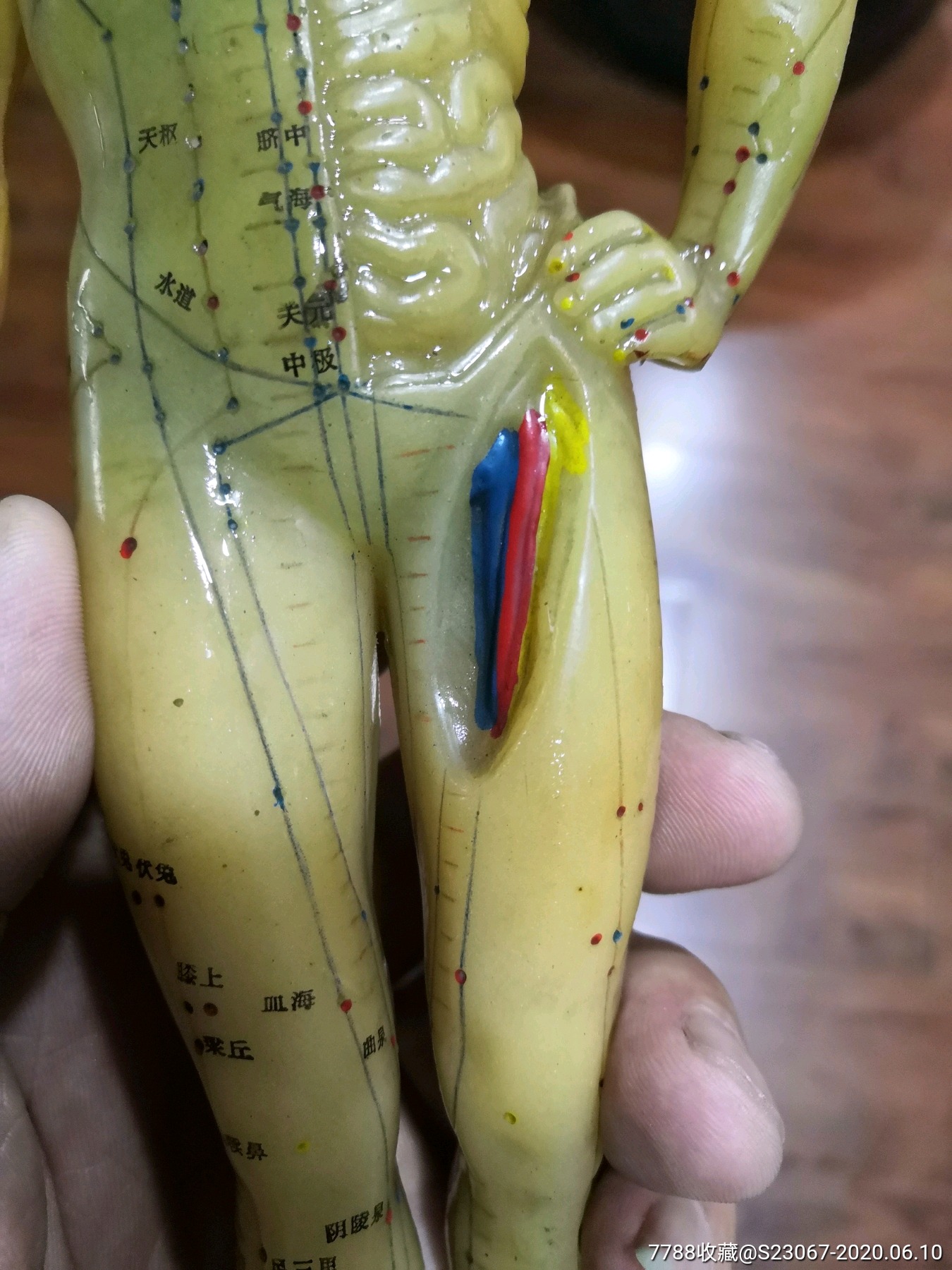 建国初针灸塑料人体模型