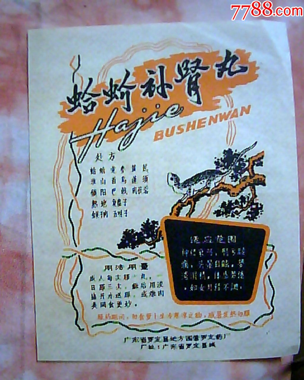 蛤蚧补肾丸说明书