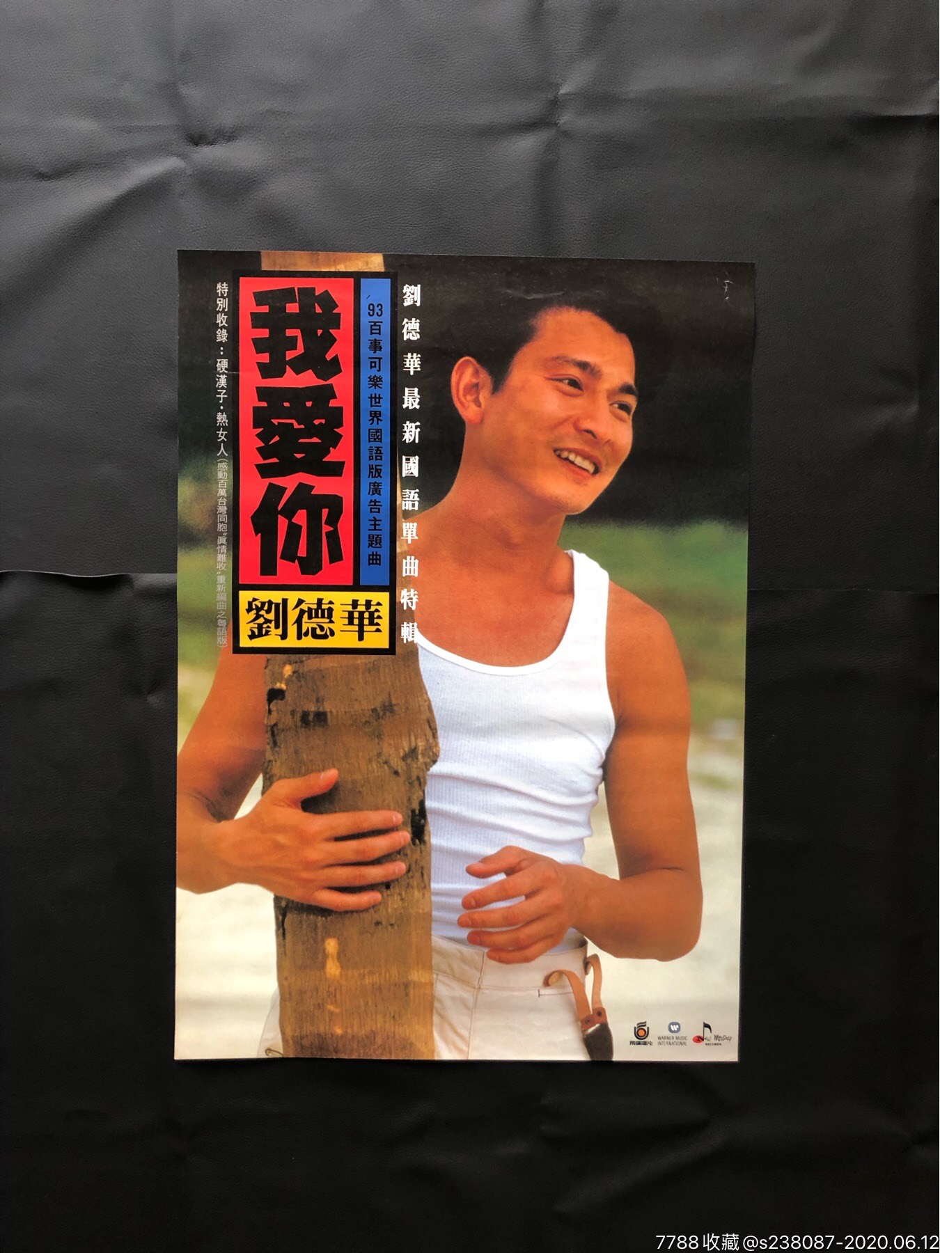 刘德华我爱你台海报
