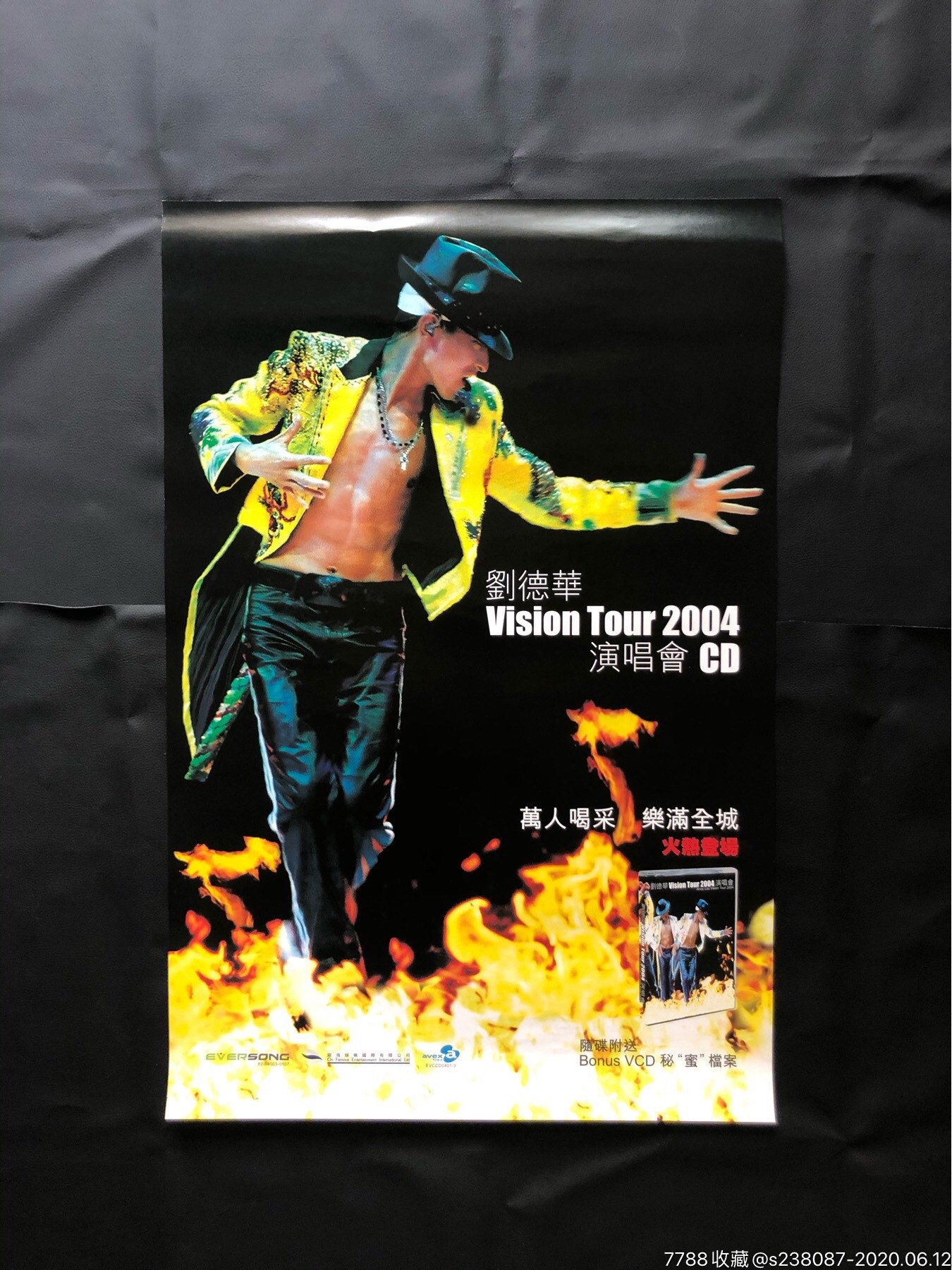 刘德华2004演唱会台海报