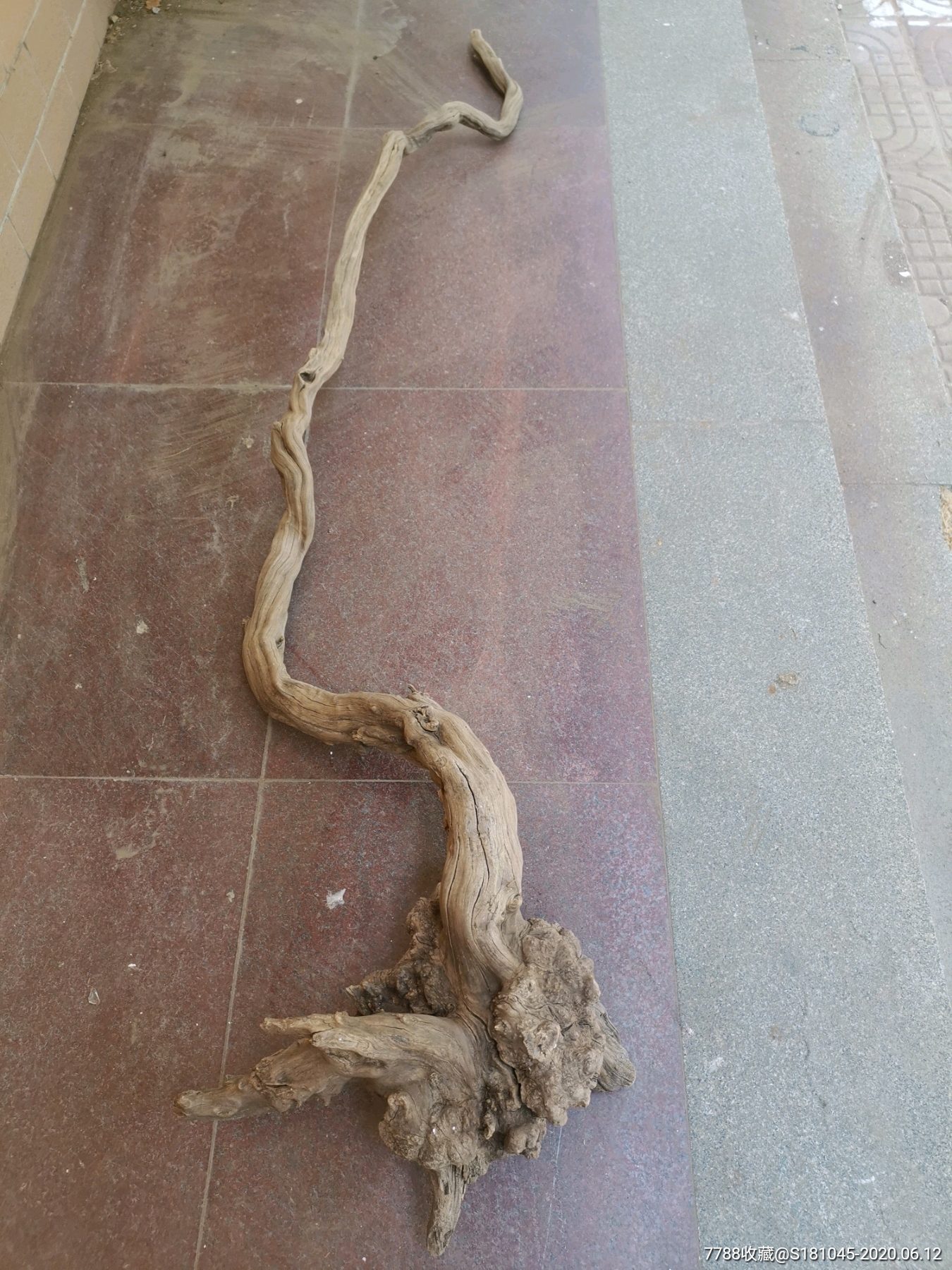 荆颗原木随形整棵摆件