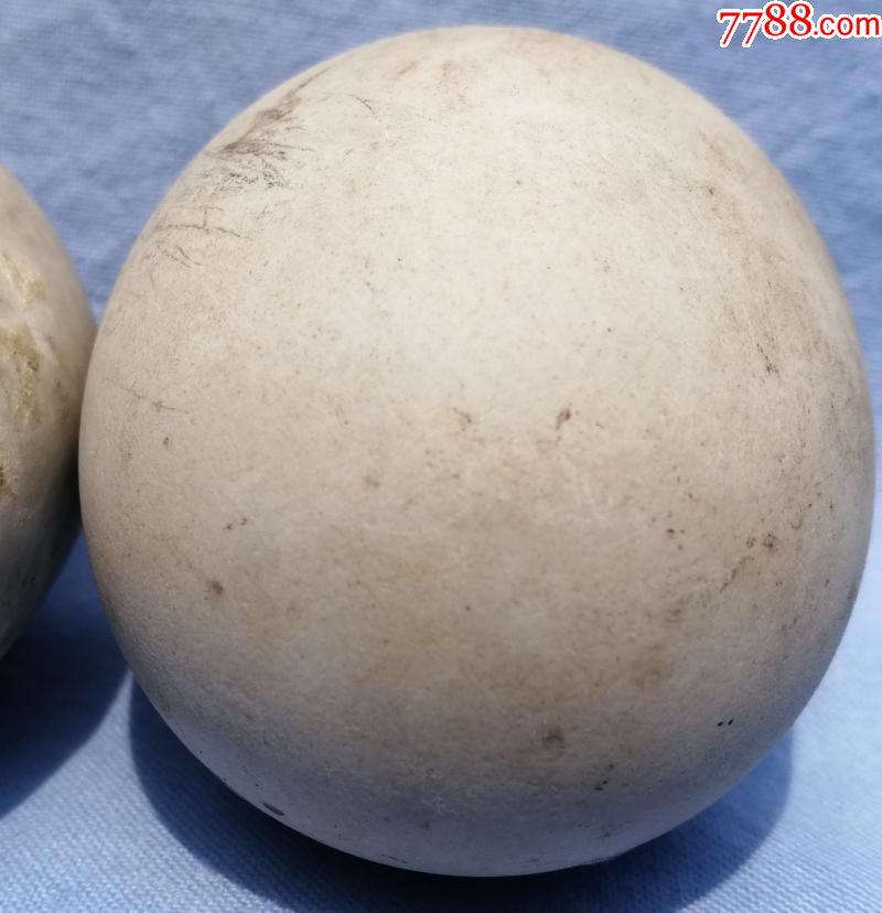 唐代邢窑瓷球马球一对瓷质细腻没有磕碰品相完美